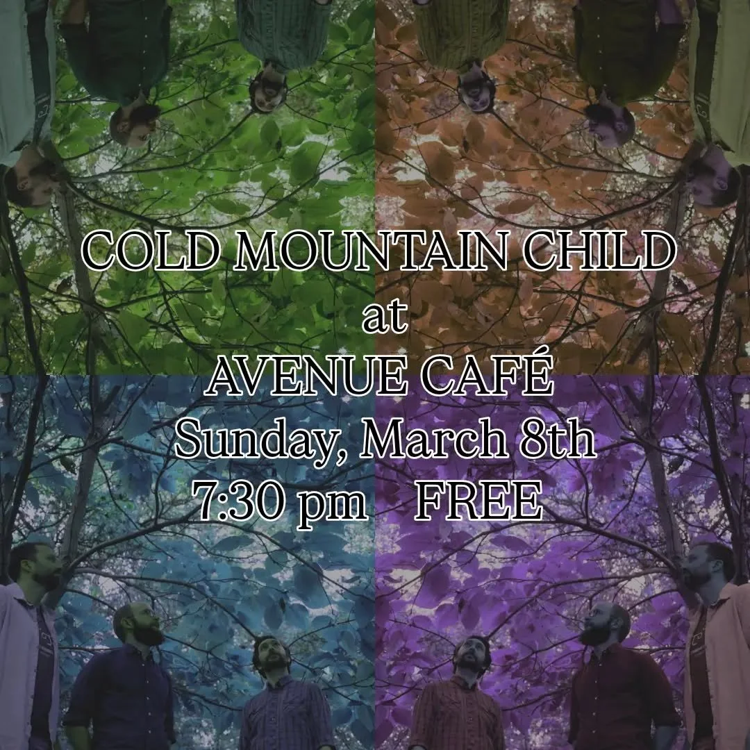 We're pleased to be returning to @avenue_lansing for their Folk Sundays series, this Sunday March 8th! 
We will play songs and then songs.

Music at 7:30pm, totally free!