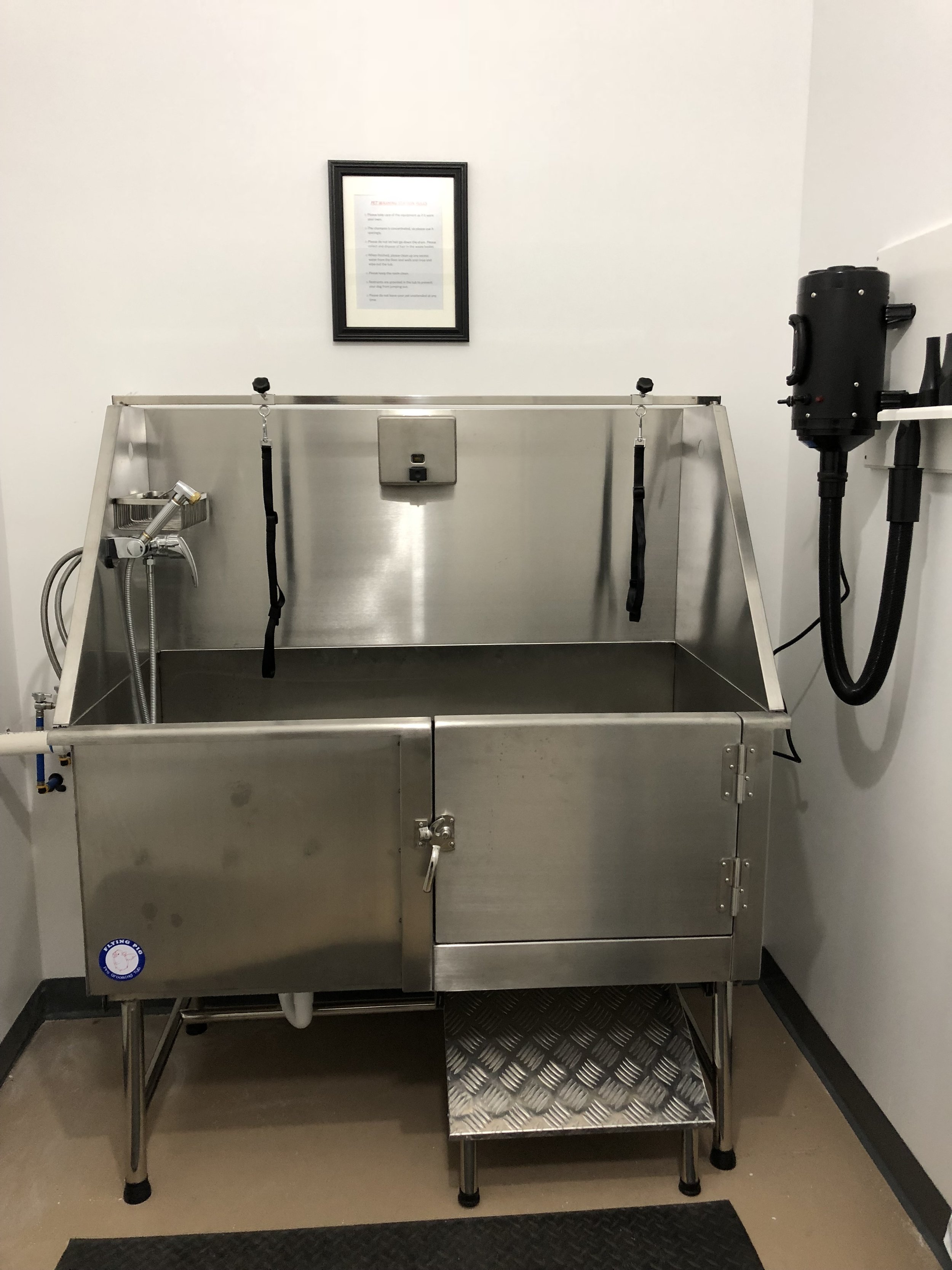 Pet Washing Station