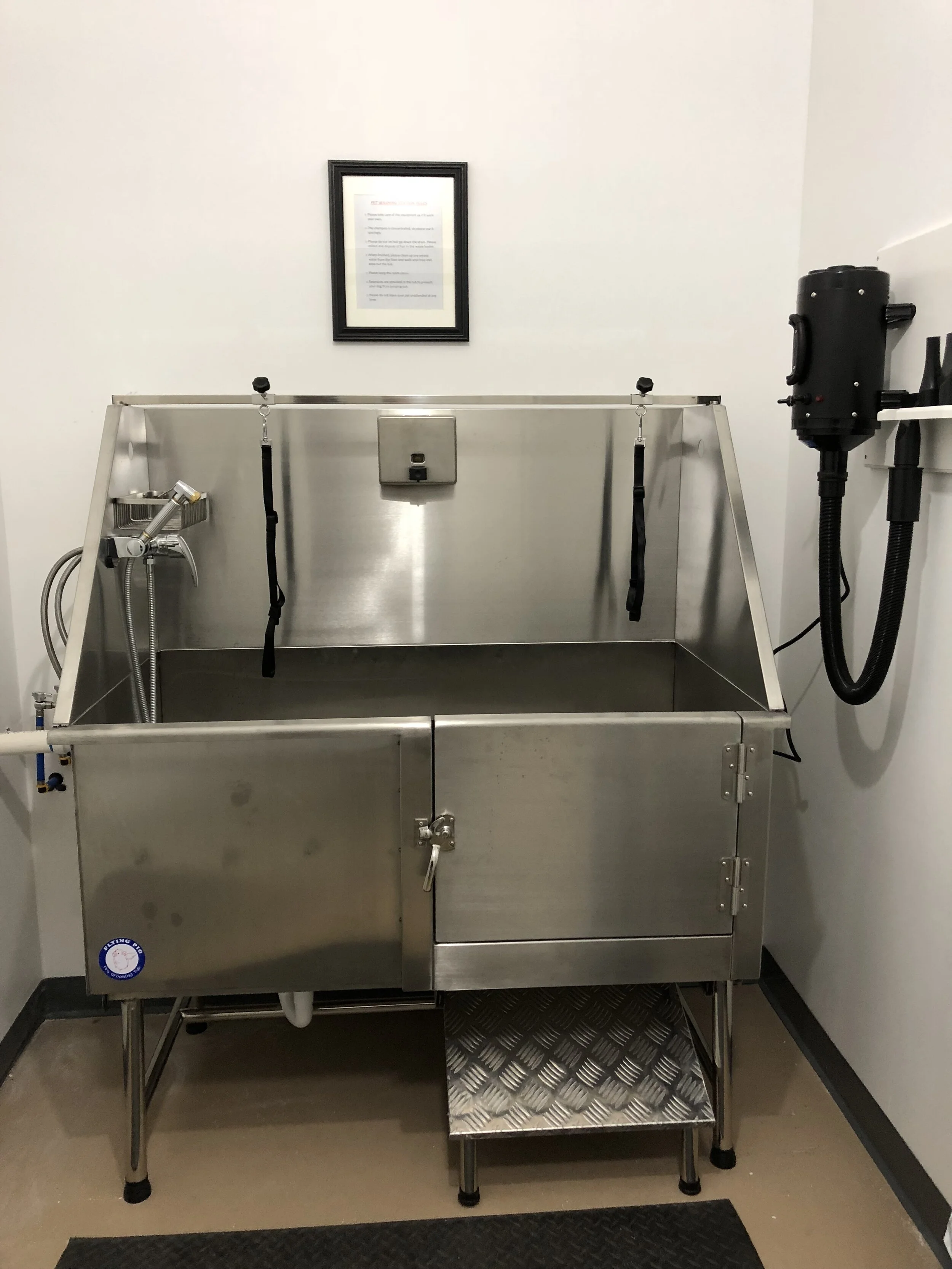 7 NS Pet Washing.jpeg