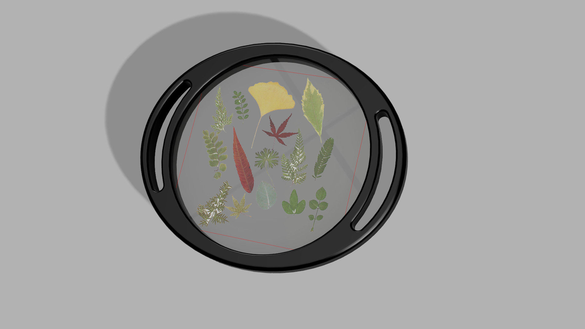 plant_slide_oval_handels v3.png