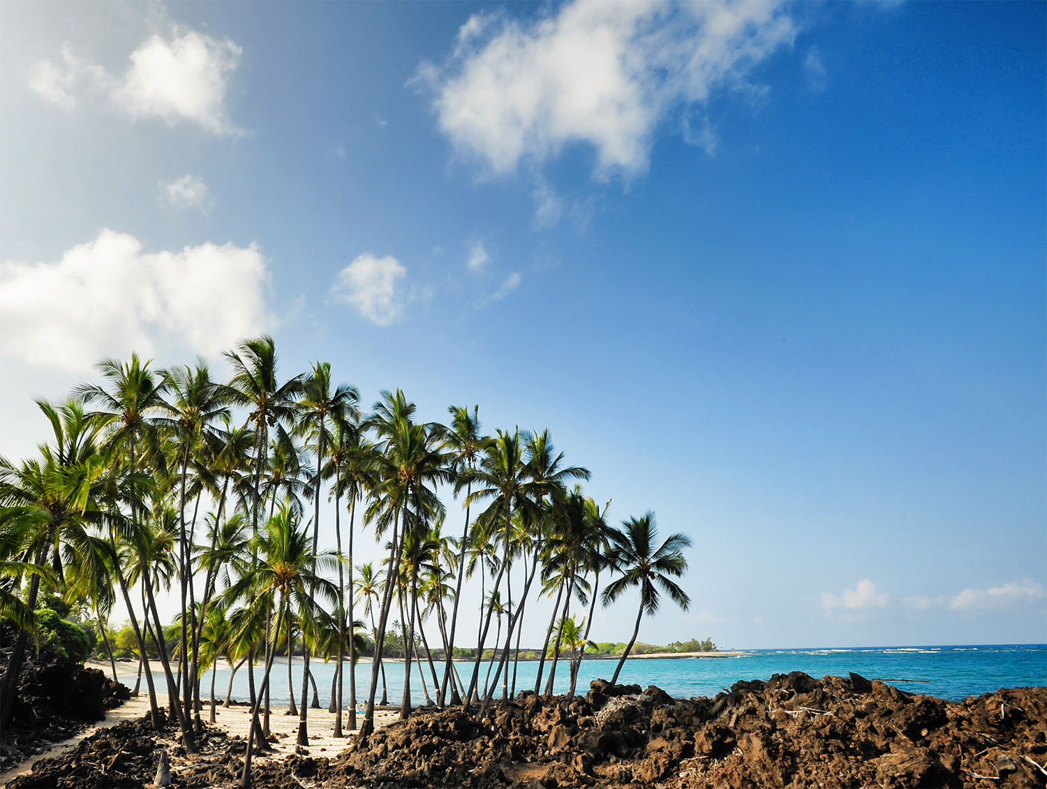 alohilani-weddings-beach-weddings-hawaii-erick-rhodes-photography.jpg