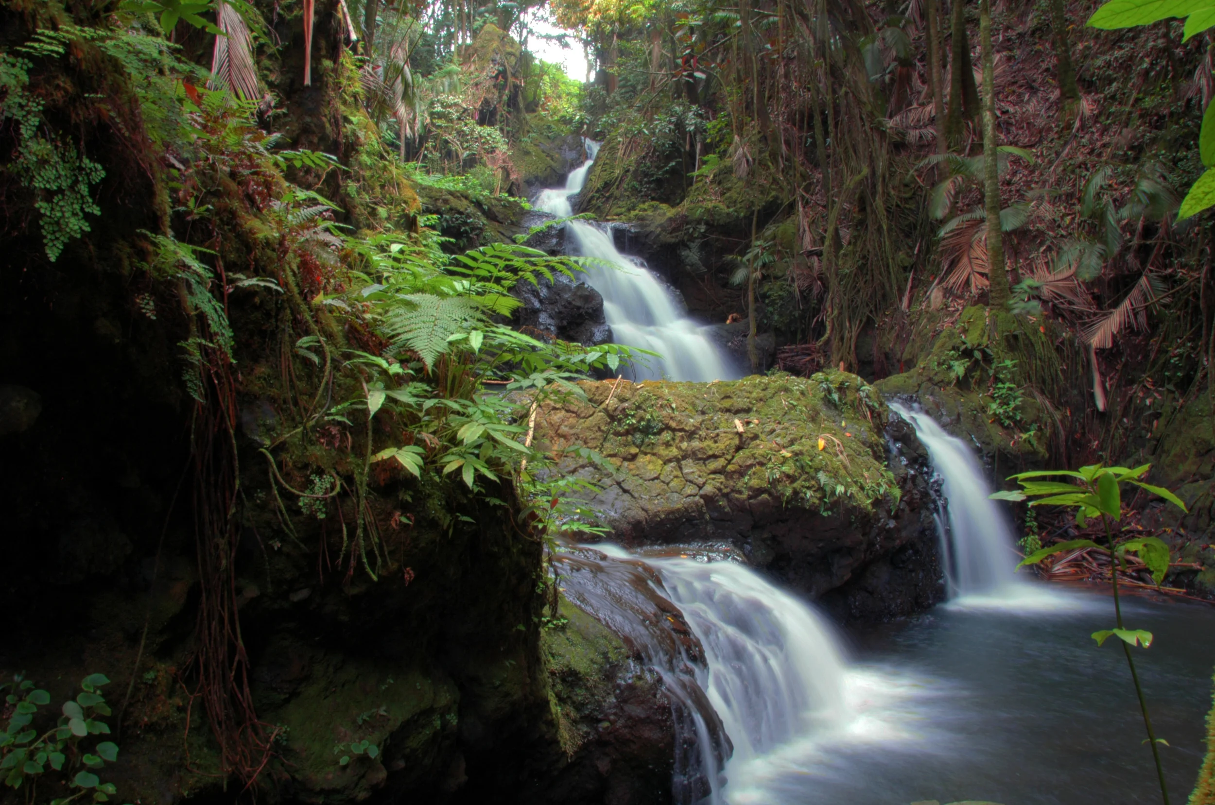 Onomea Falls, Big Island