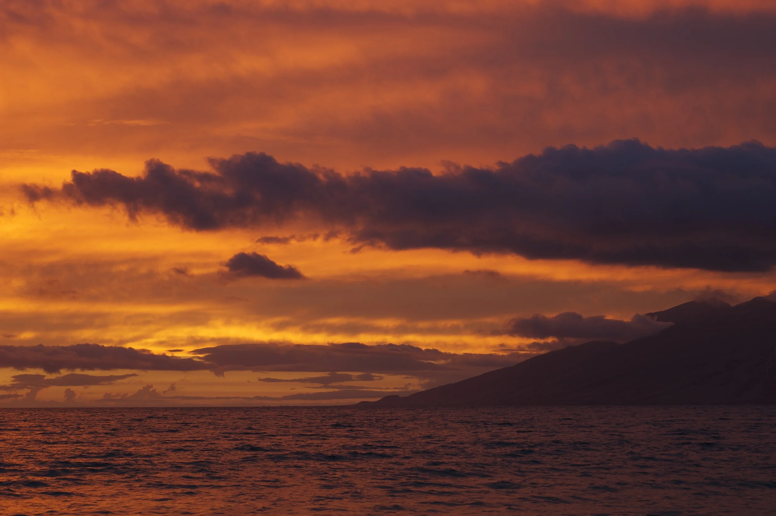 Ma'alaea Bay, Maui