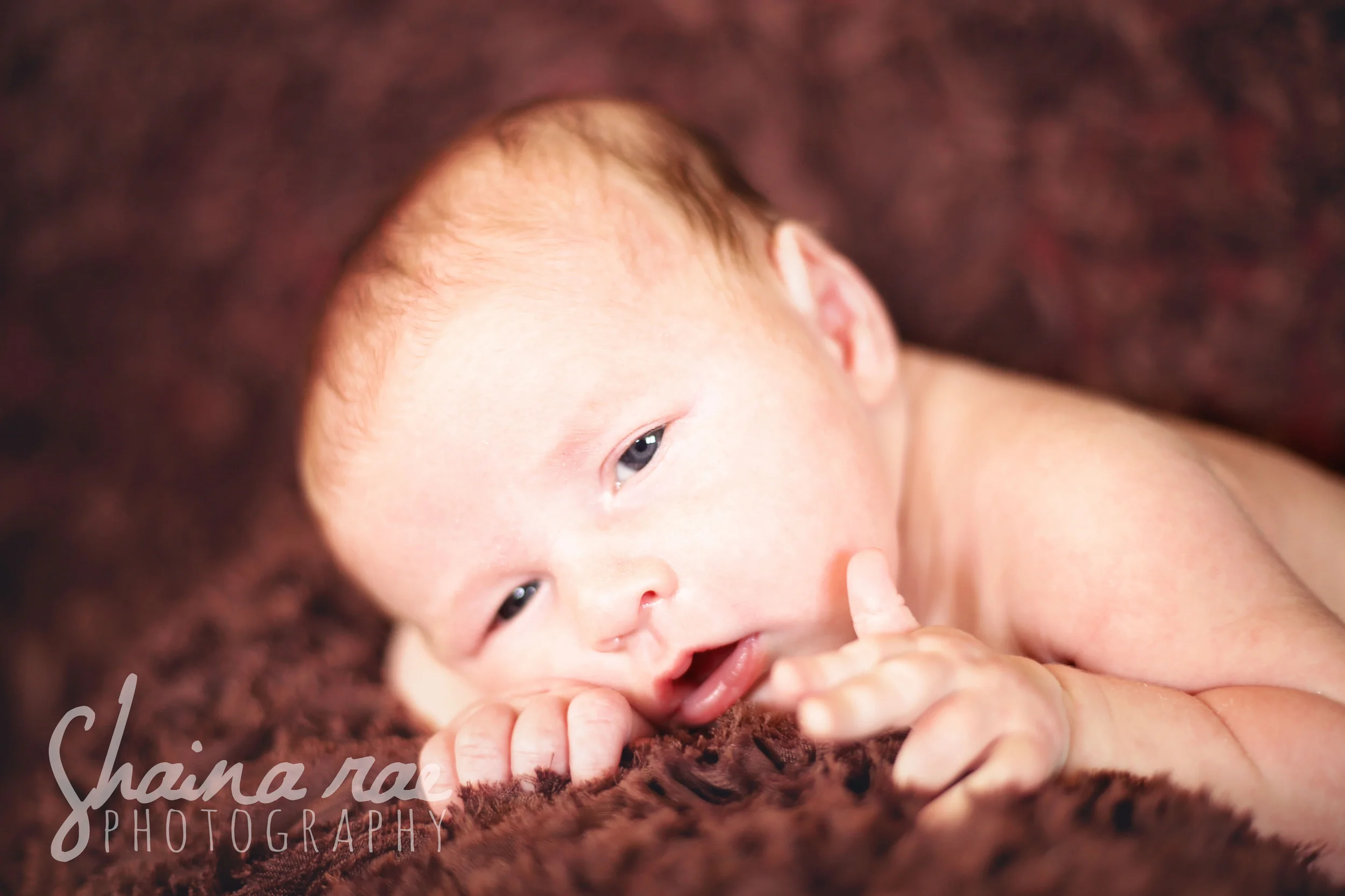 landon009.jpg