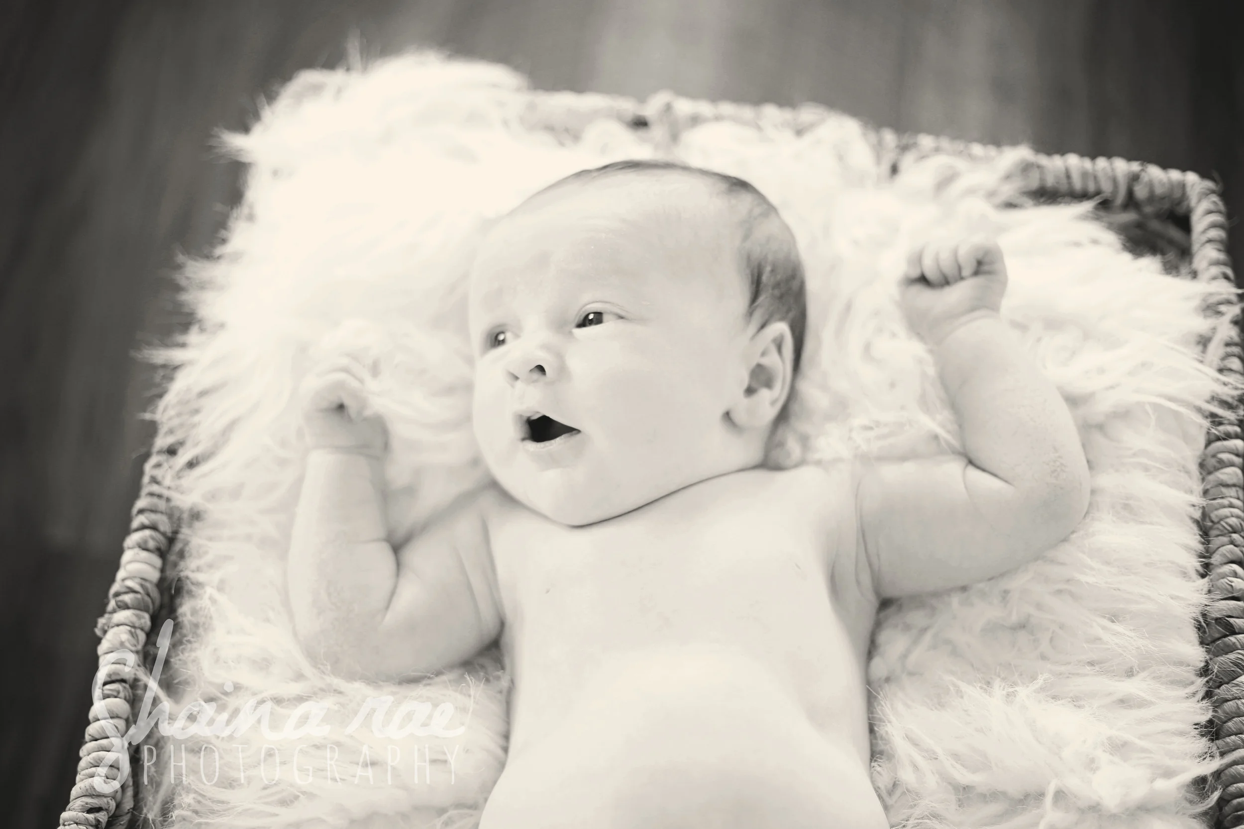 landon030.jpg