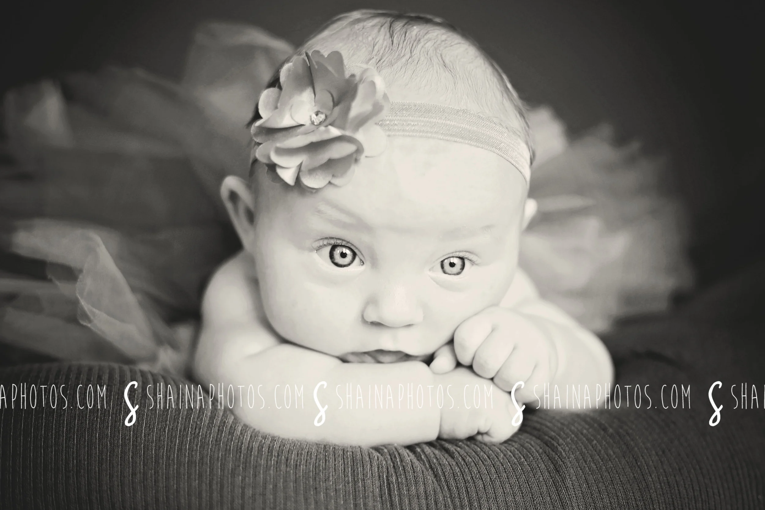 myla013.jpg
