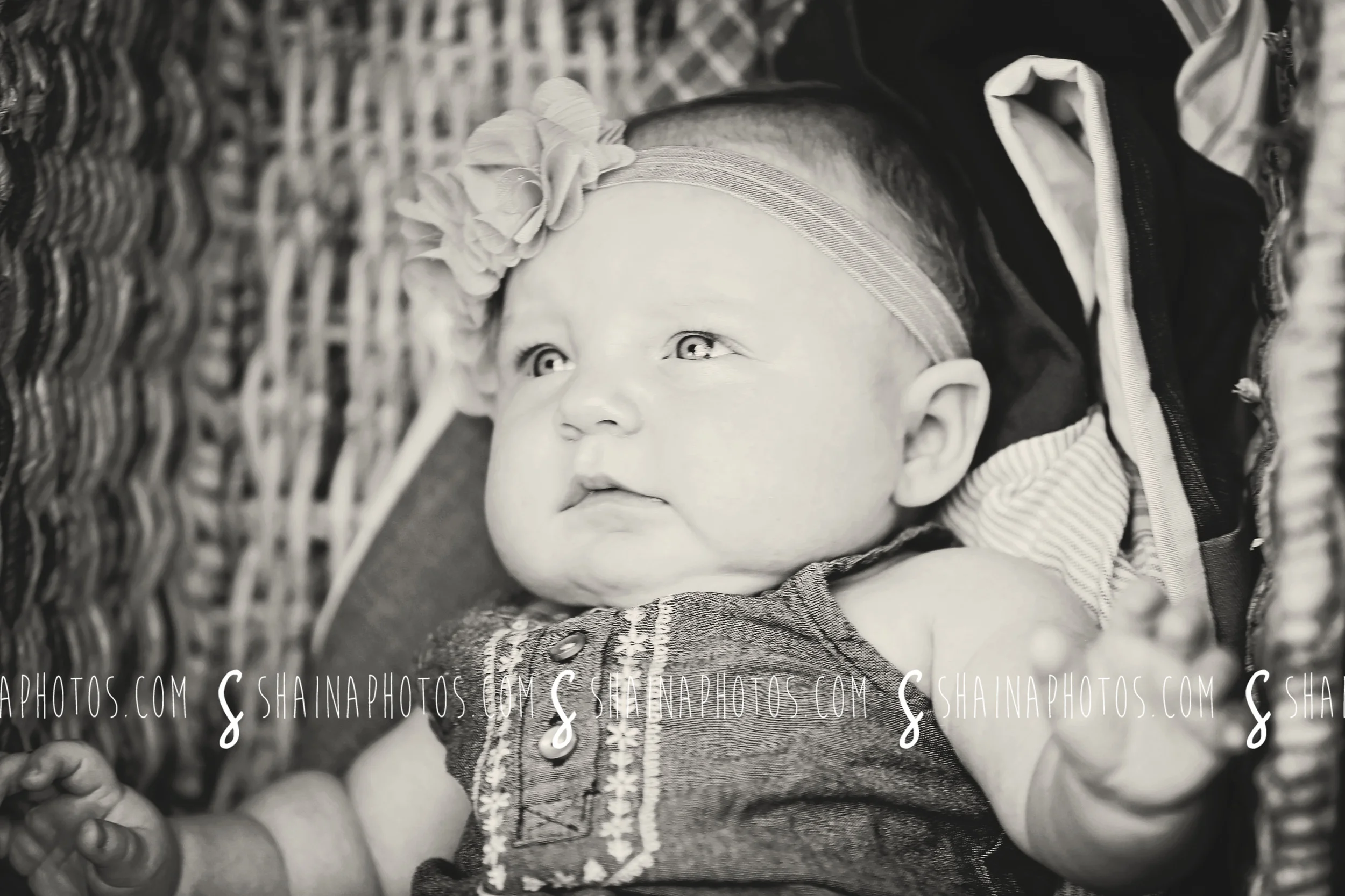 myla038.jpg