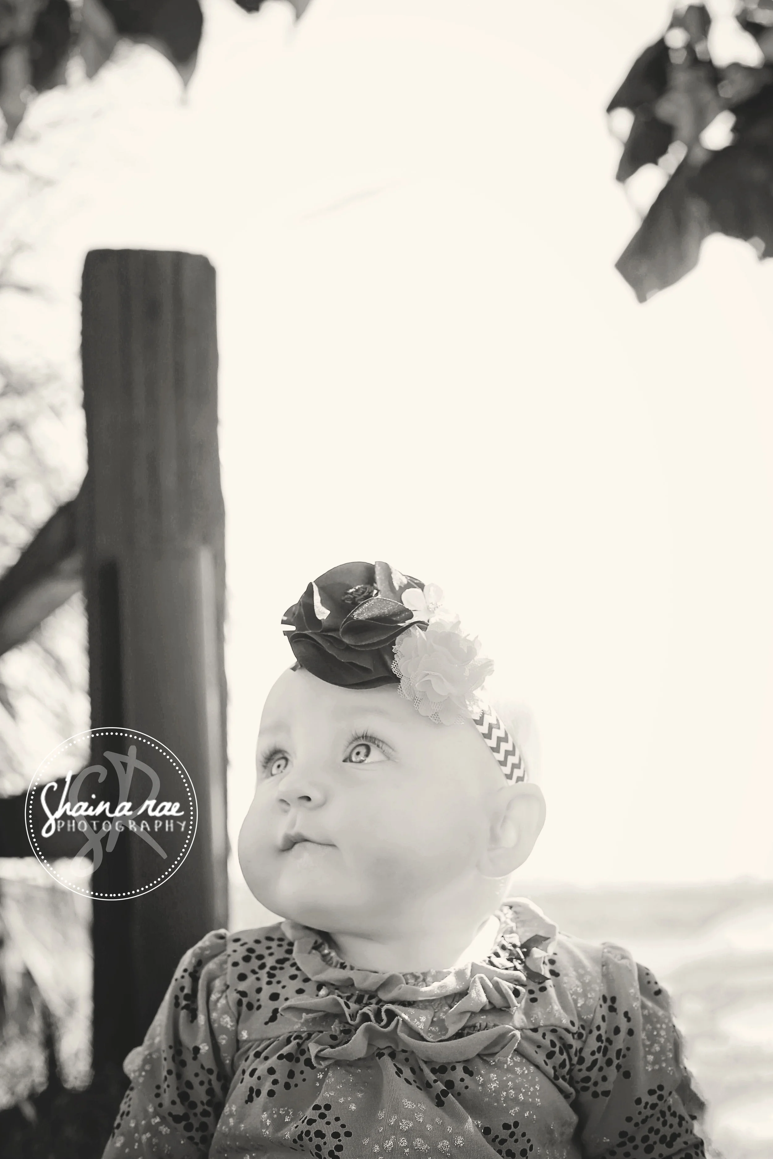 myla0041.jpg