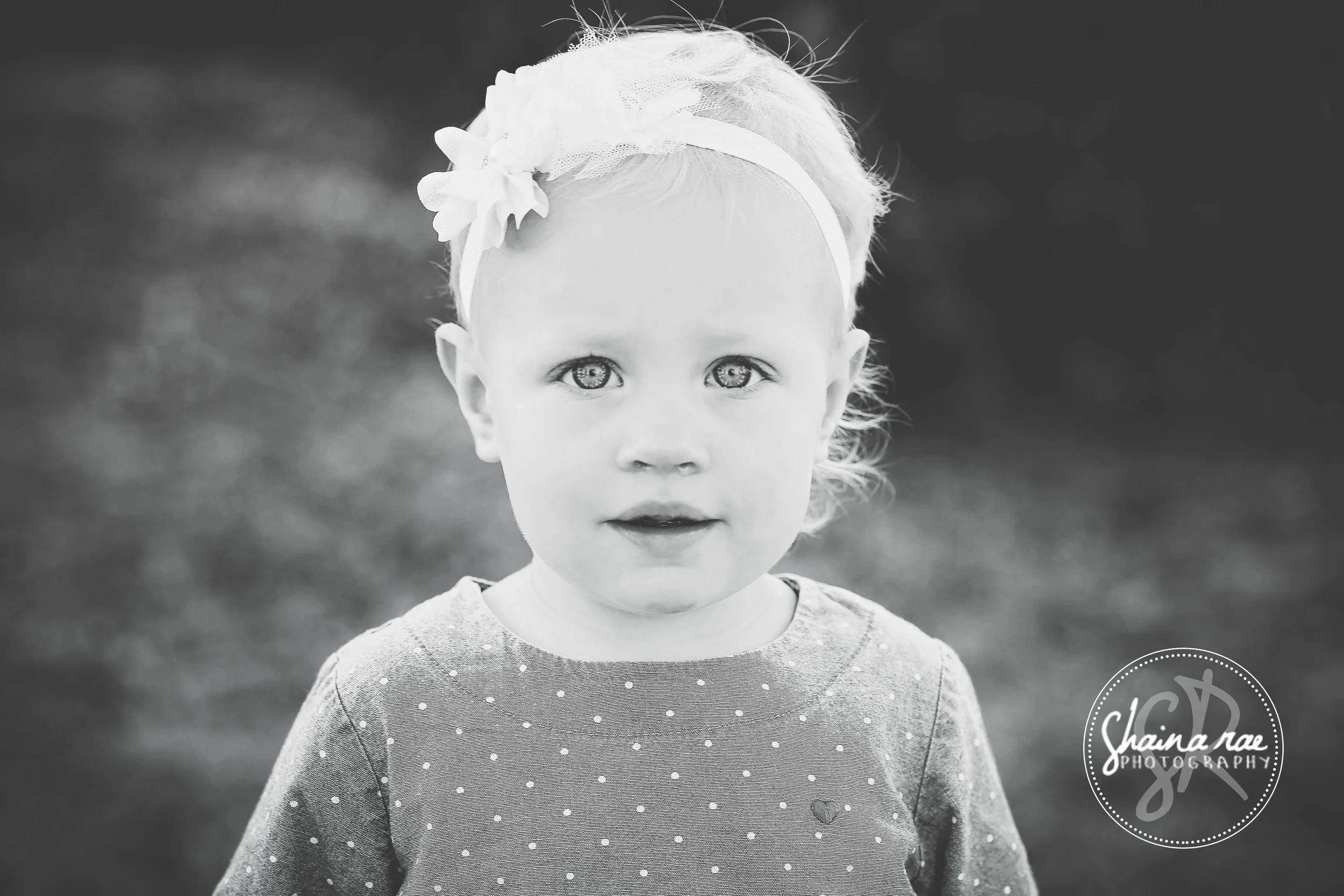 Timmermann0025.jpg
