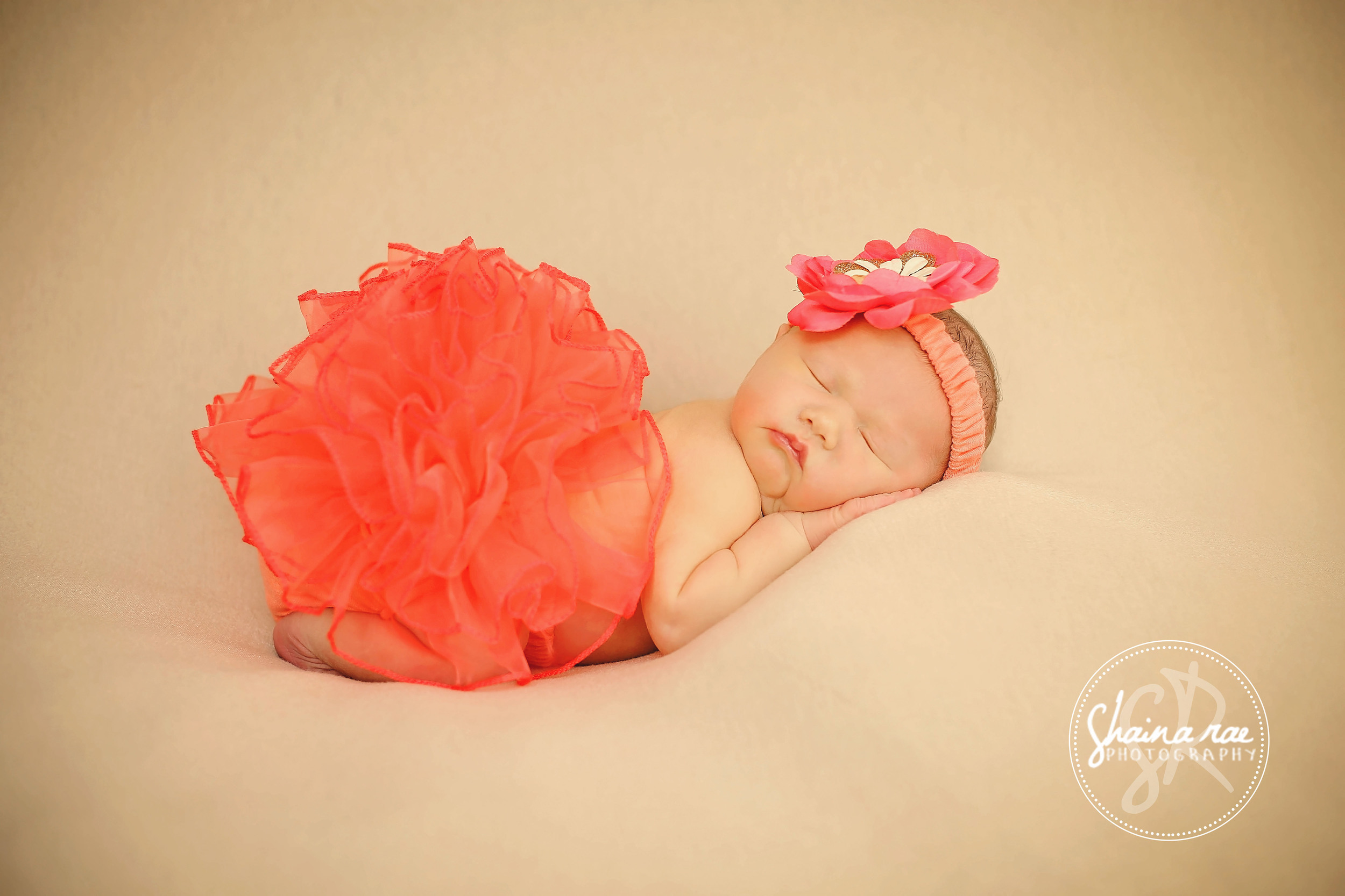 Ansley 0001.jpg