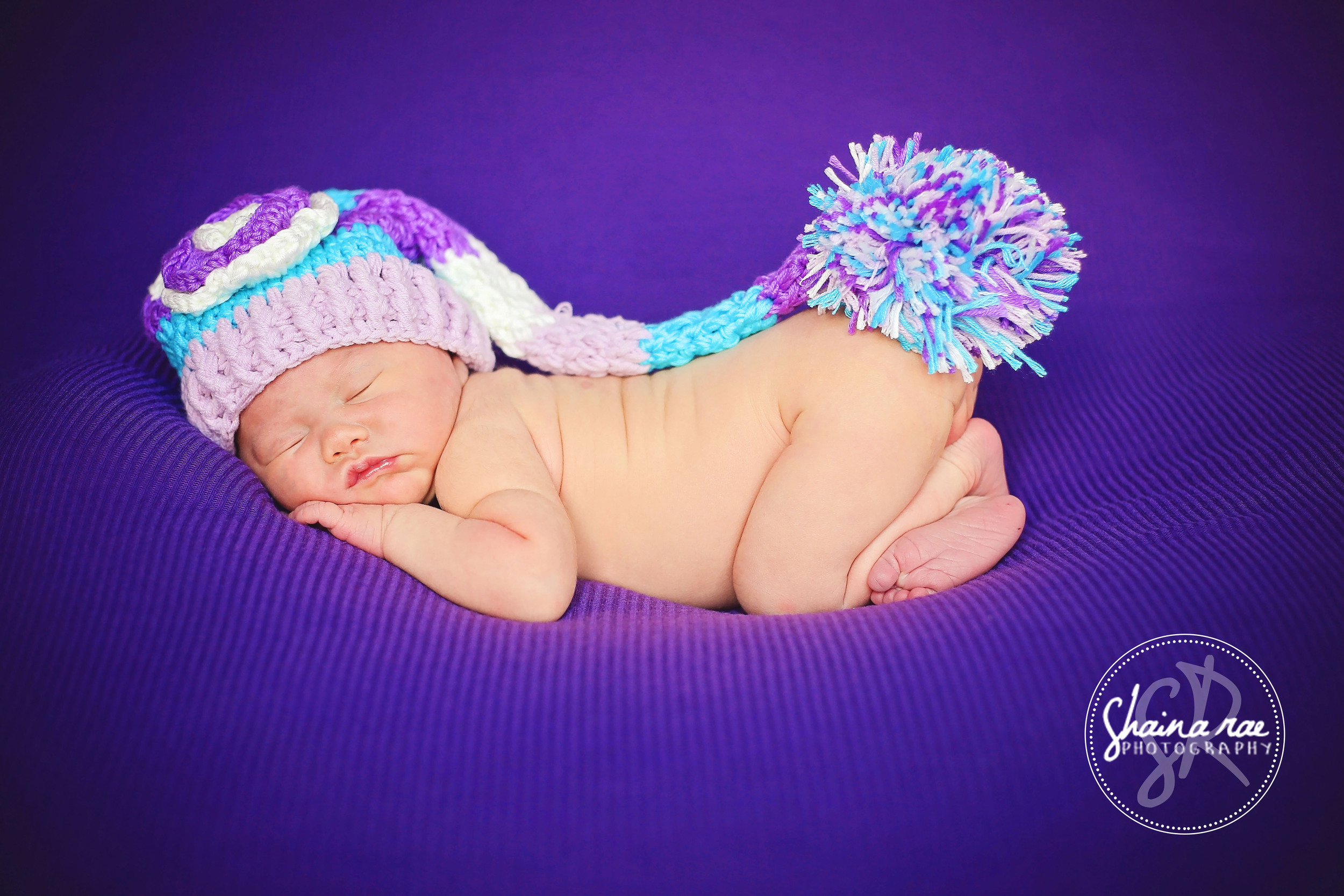 Ansley 0016.jpg