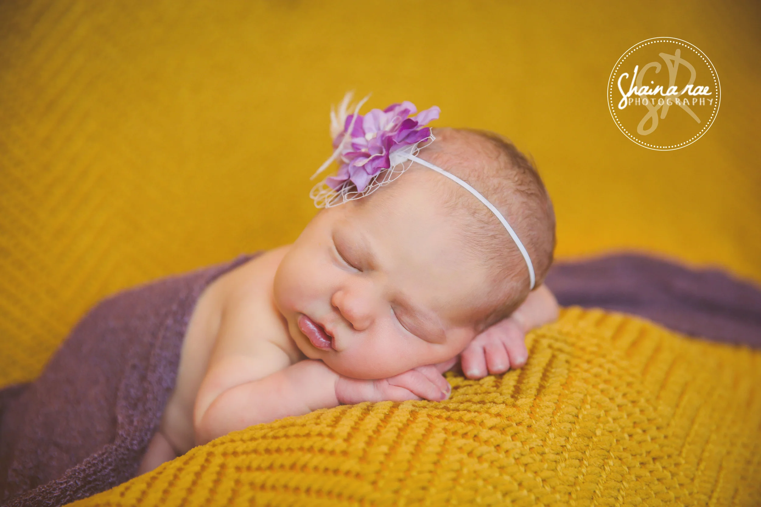 Lyla0008.jpg