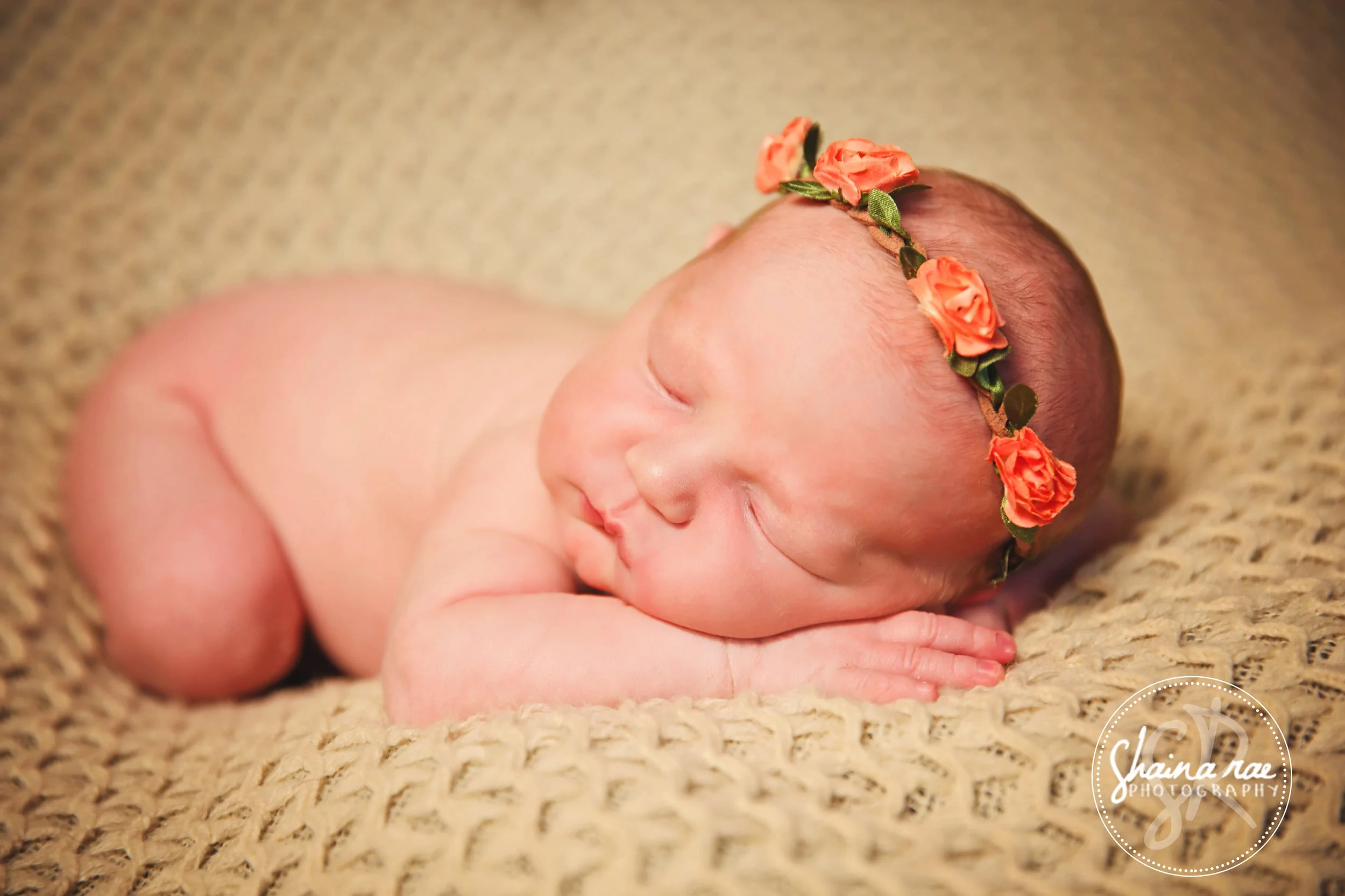Harlow0032.jpg