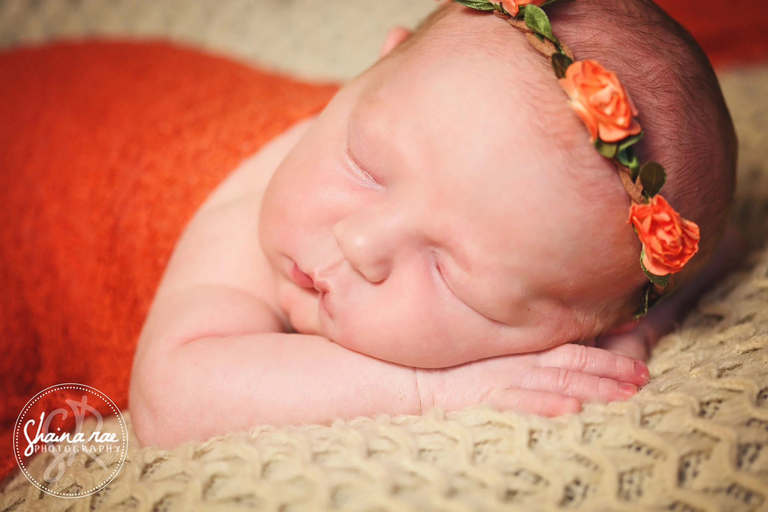 Harlow0036.jpg