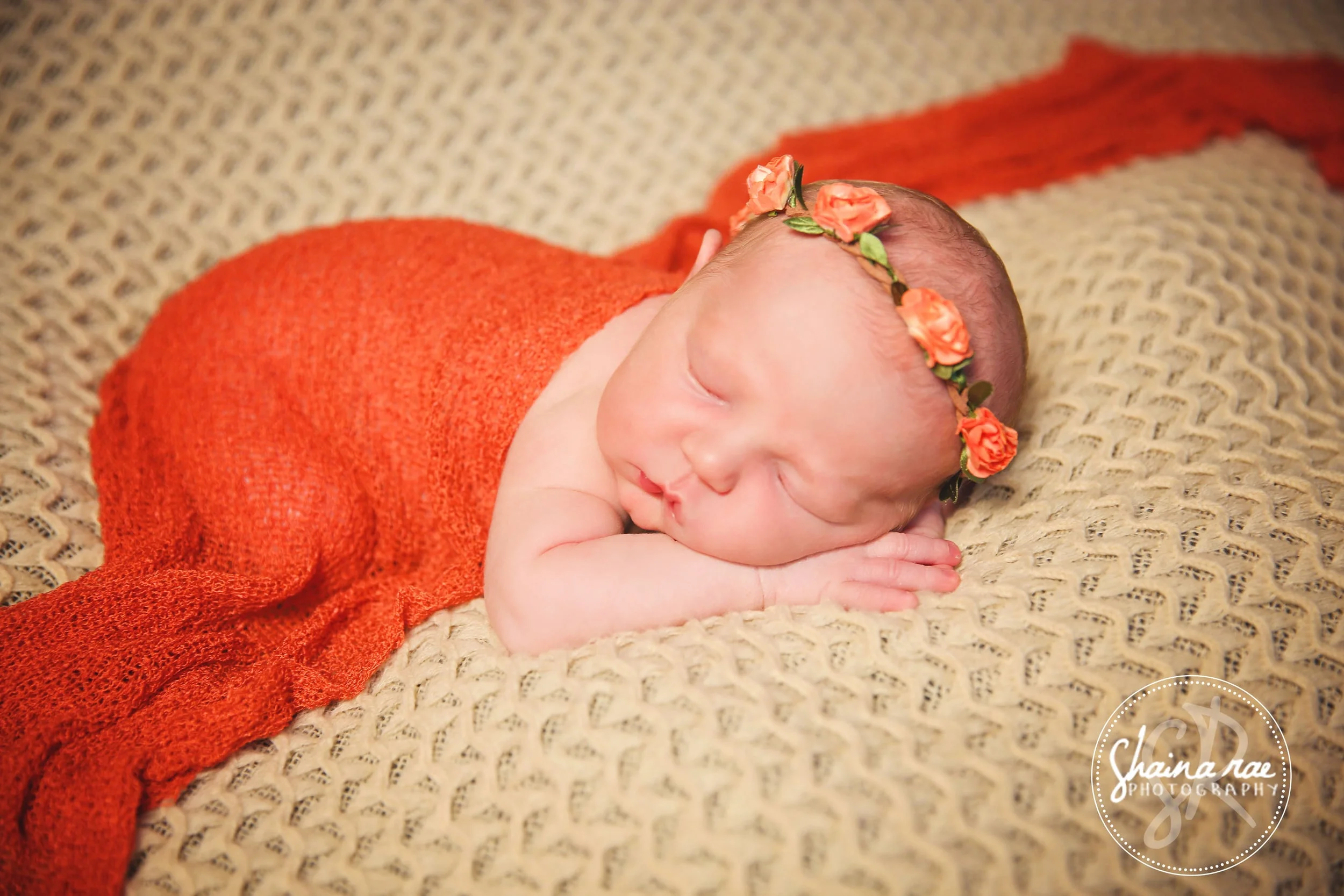 Harlow0035.jpg