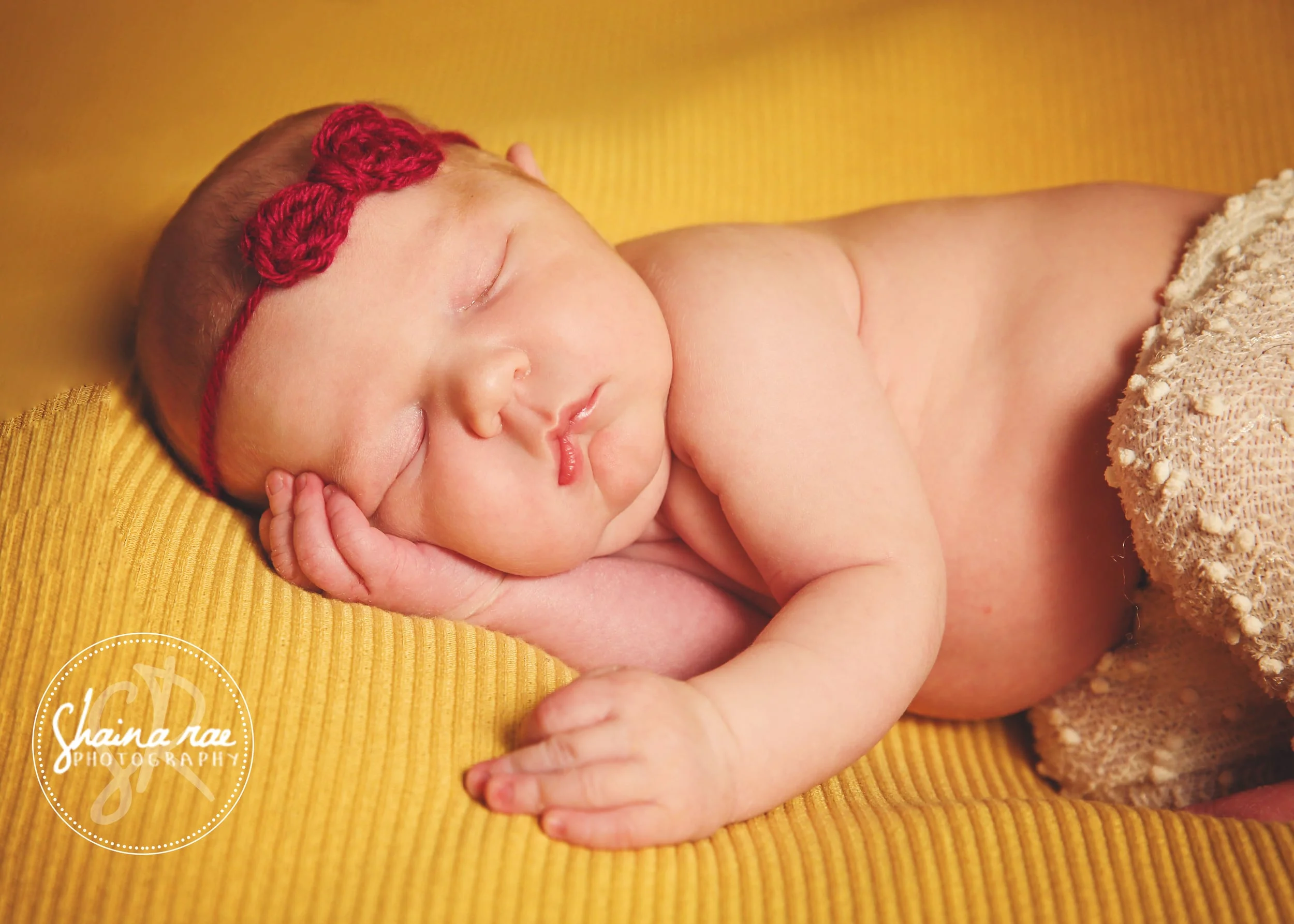 Harlow0043.jpg