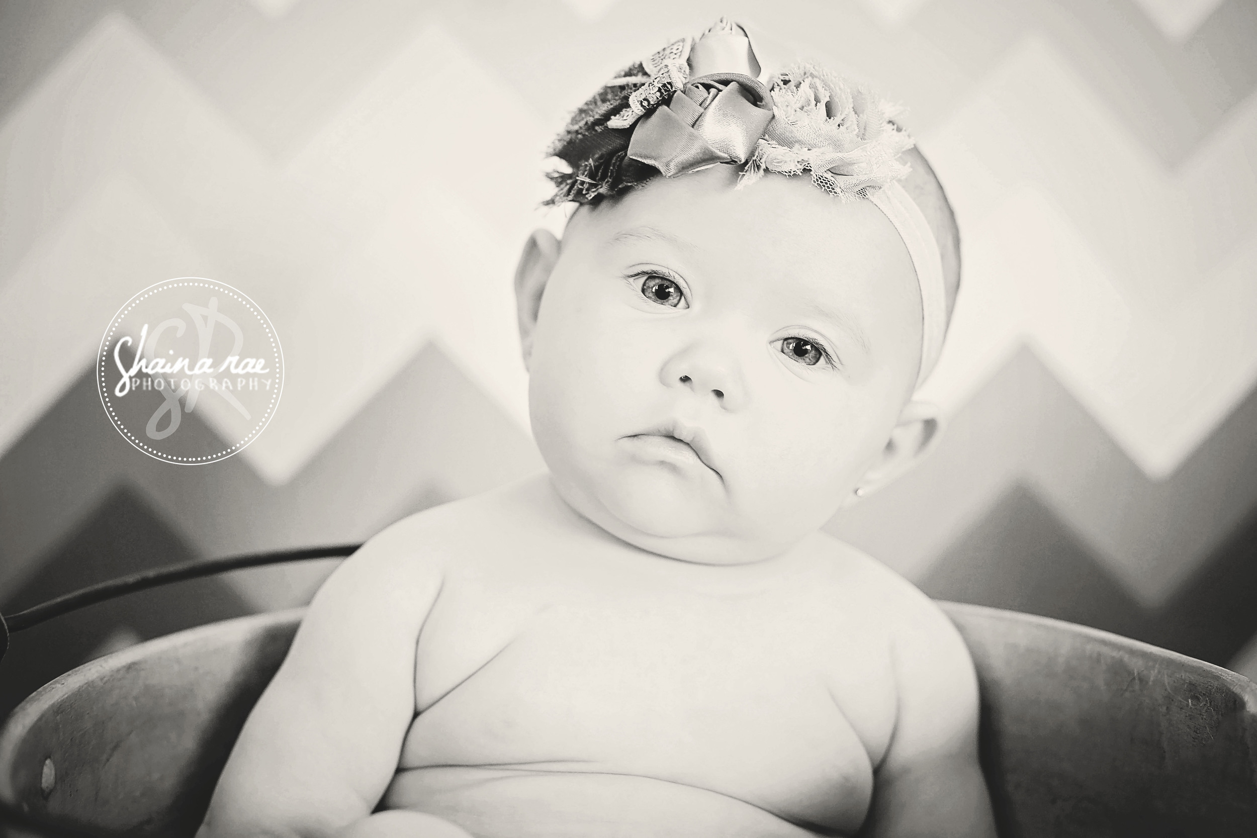 Ansley0002.jpg