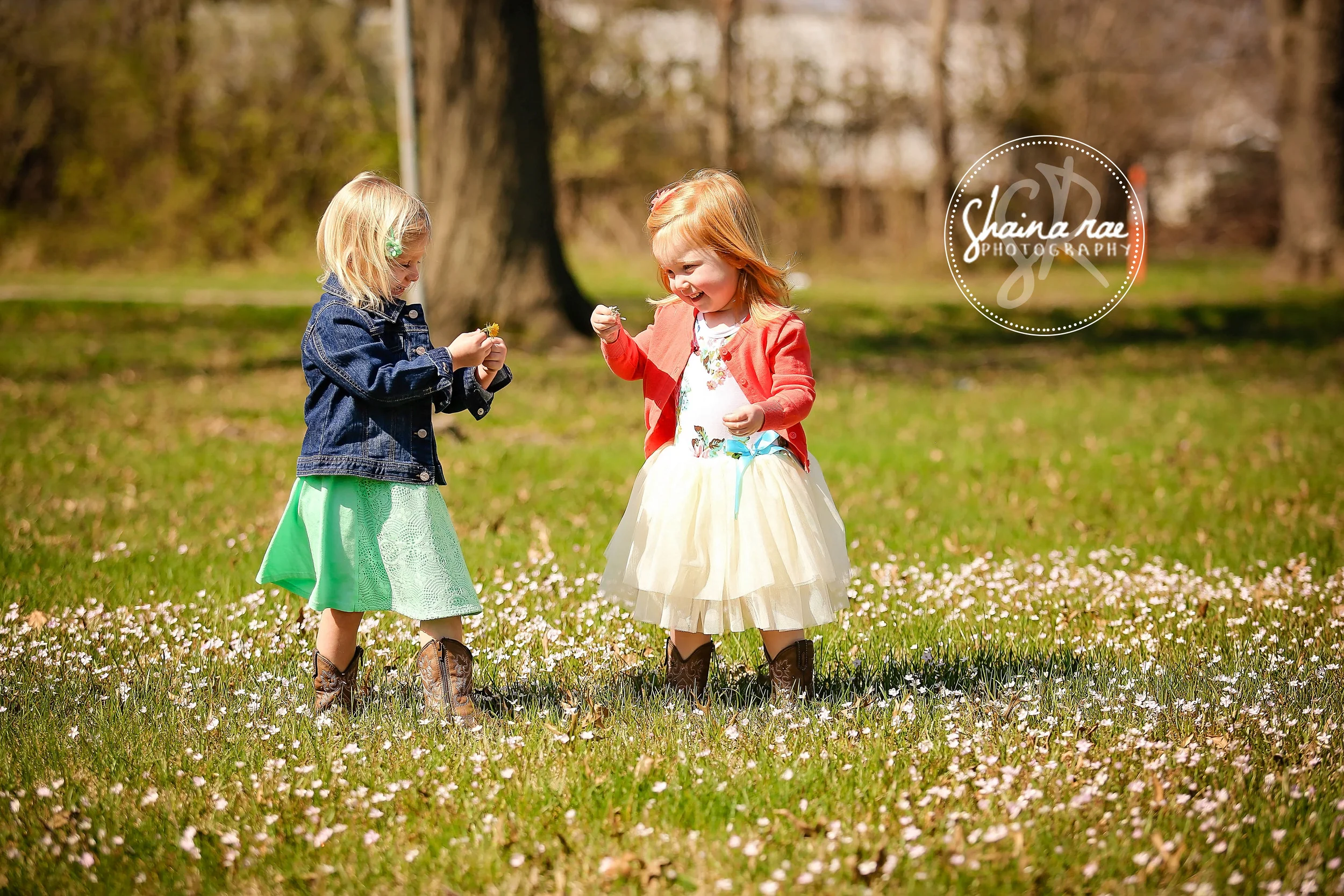 Mini-Rosen0027.jpg