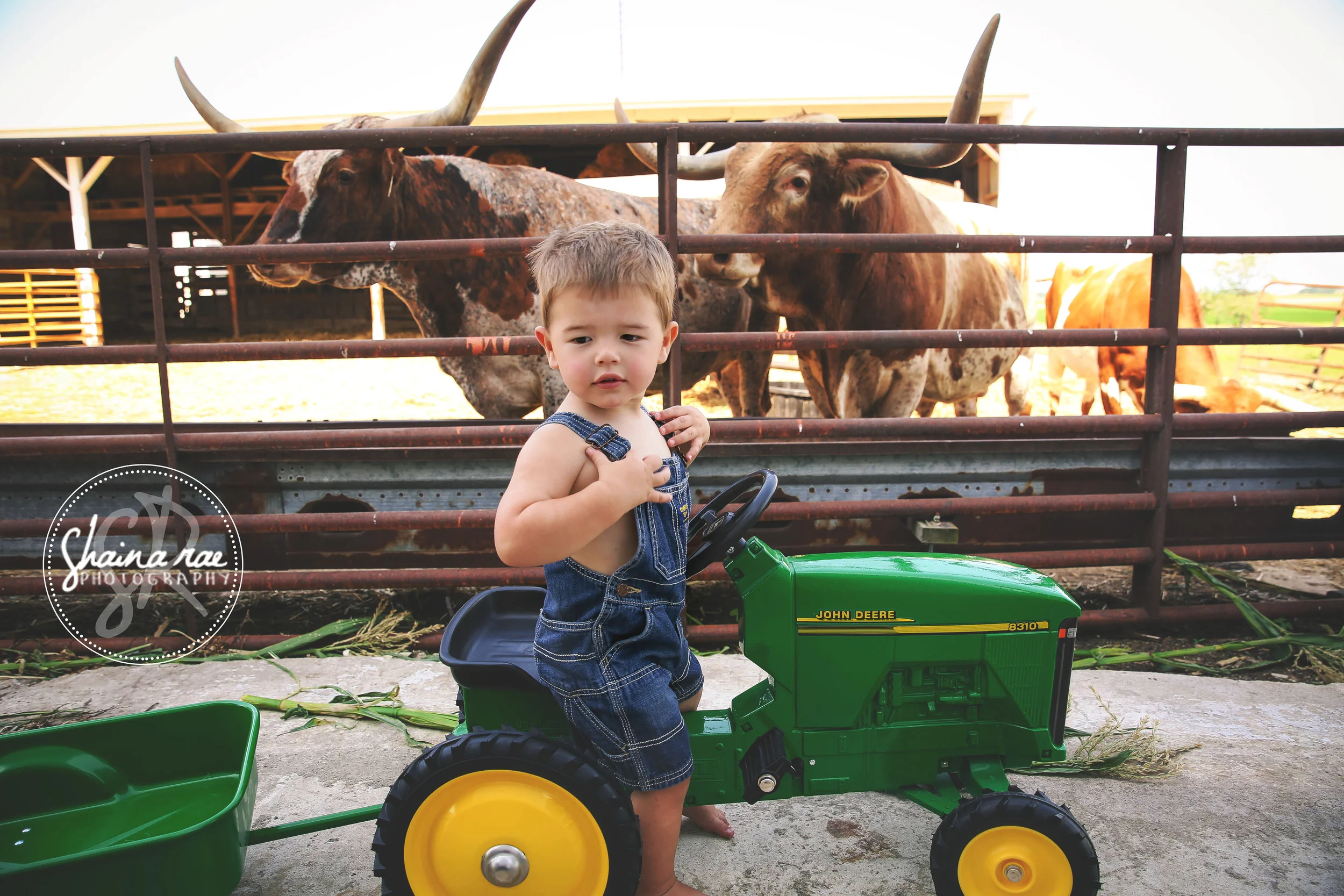 Bradyn2_0030.jpg