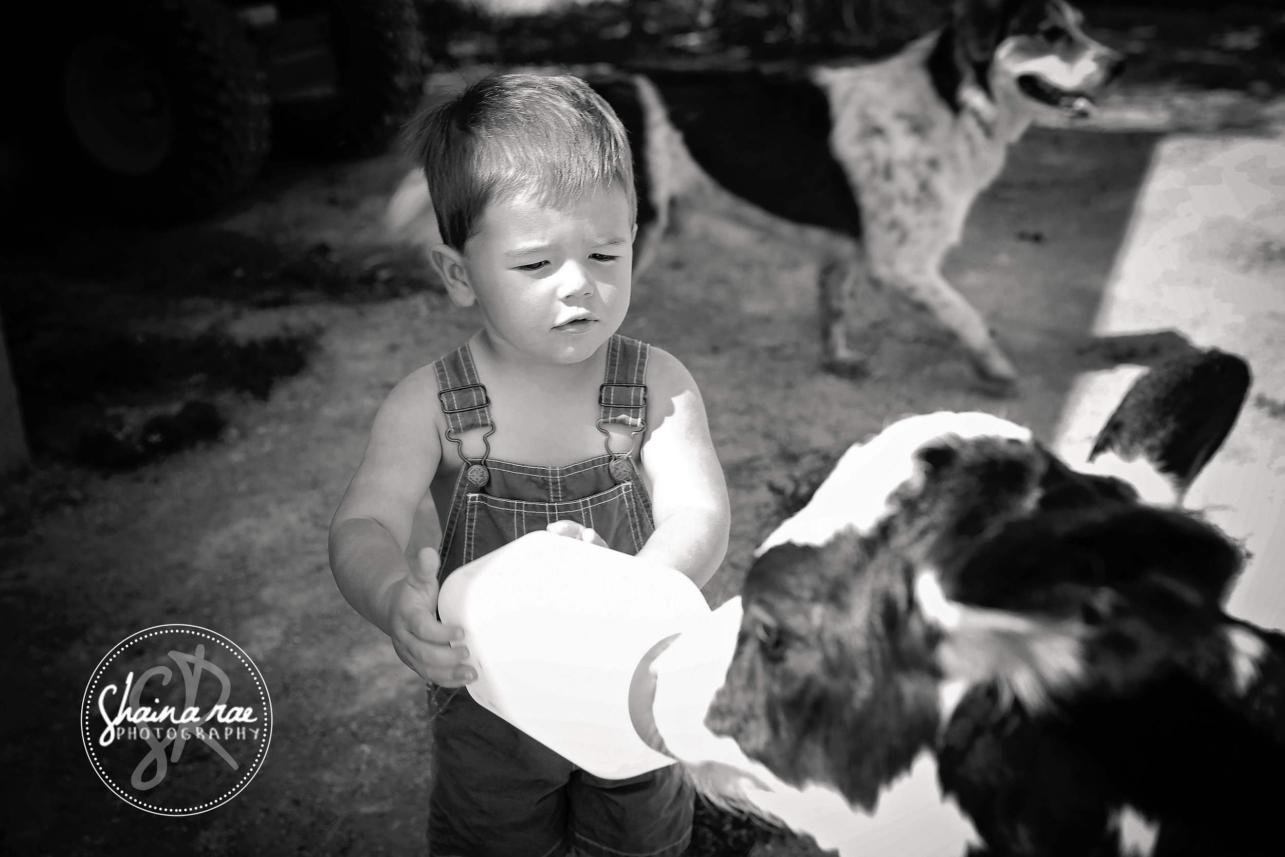 Bradyn2_0042.jpg