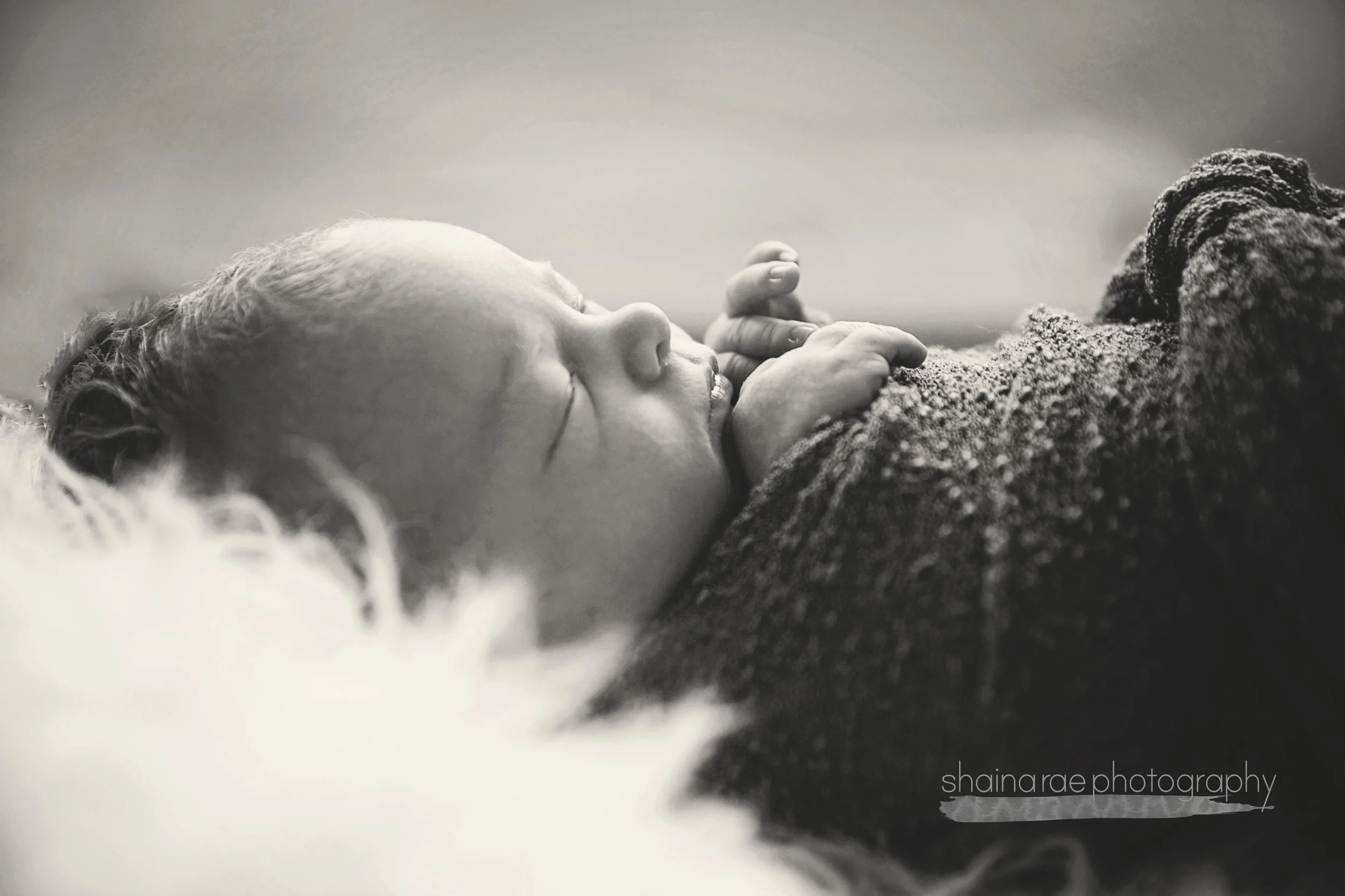 Owen0024.jpg