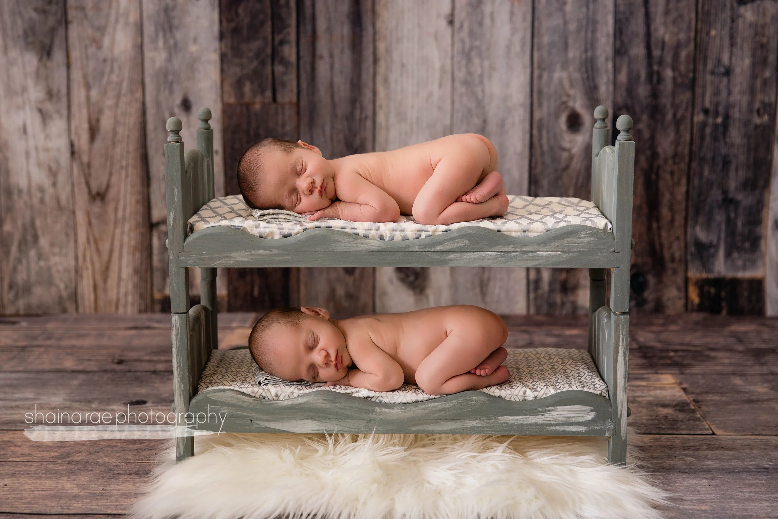 HoggTwins028.jpg