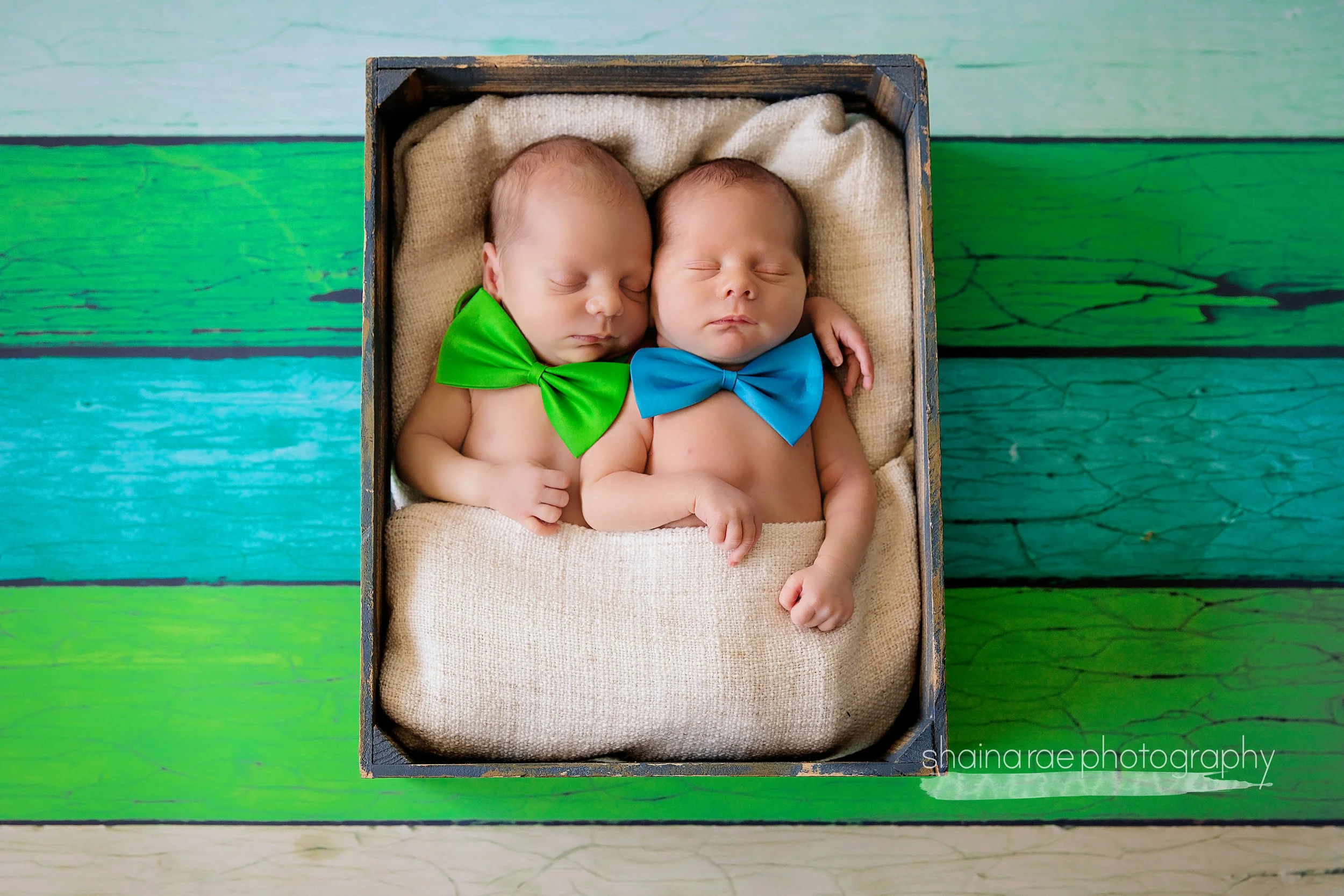 HoggTwins048.jpg