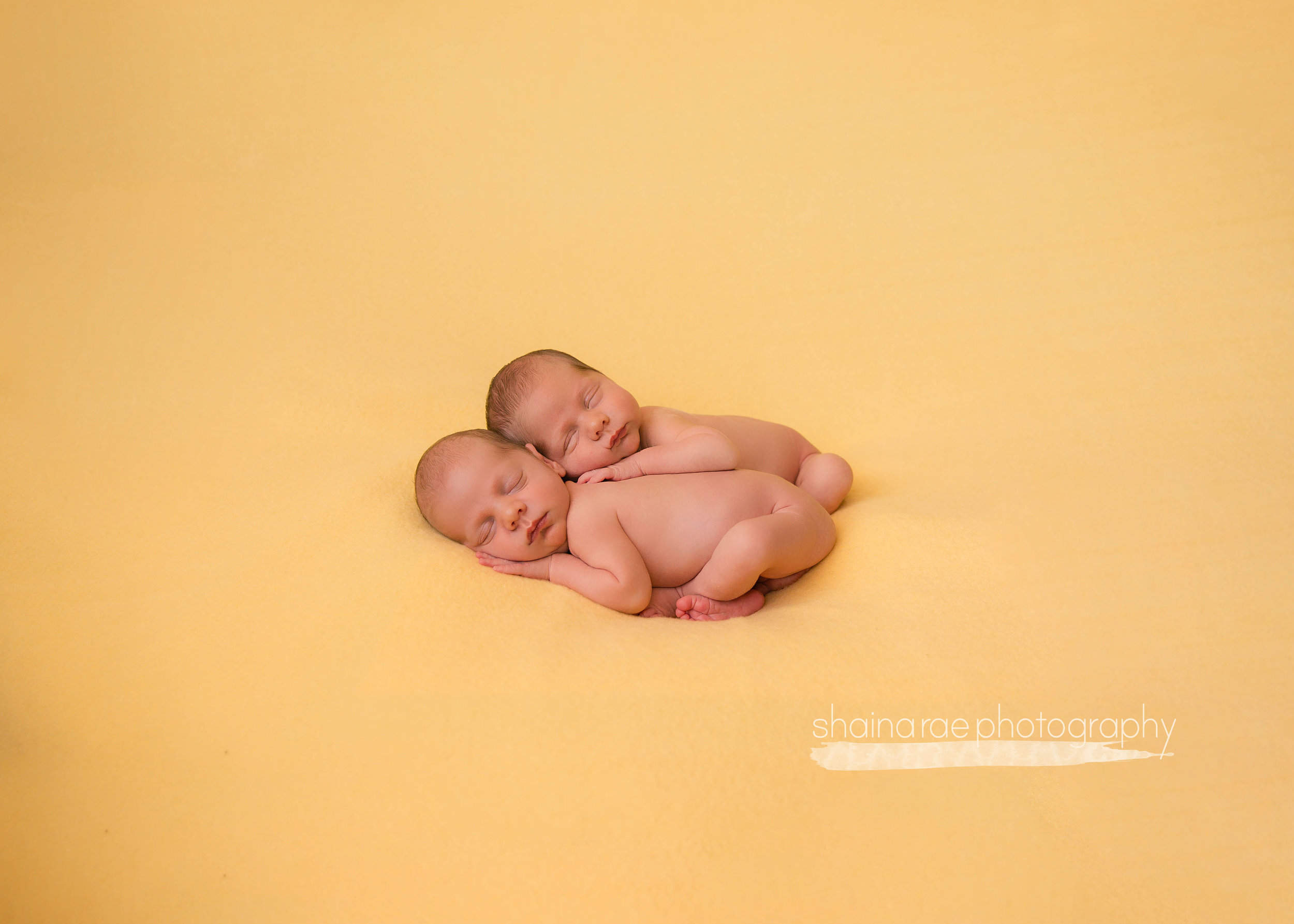 HoggTwins062.jpg