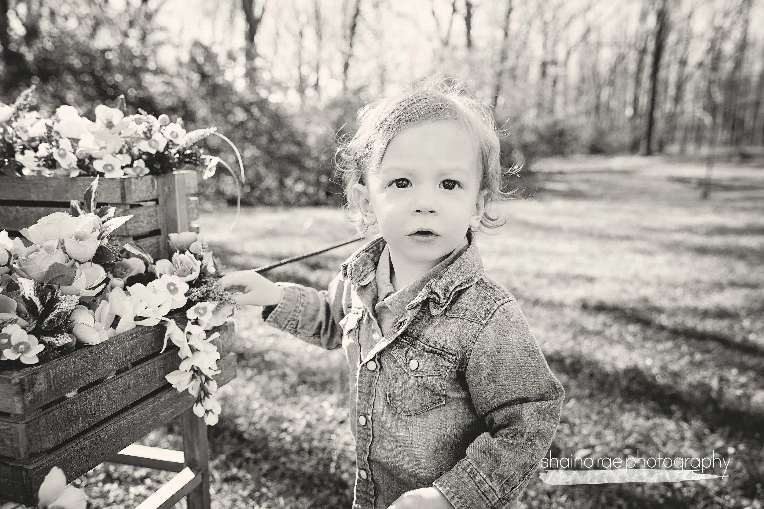 spring17_097x.jpg