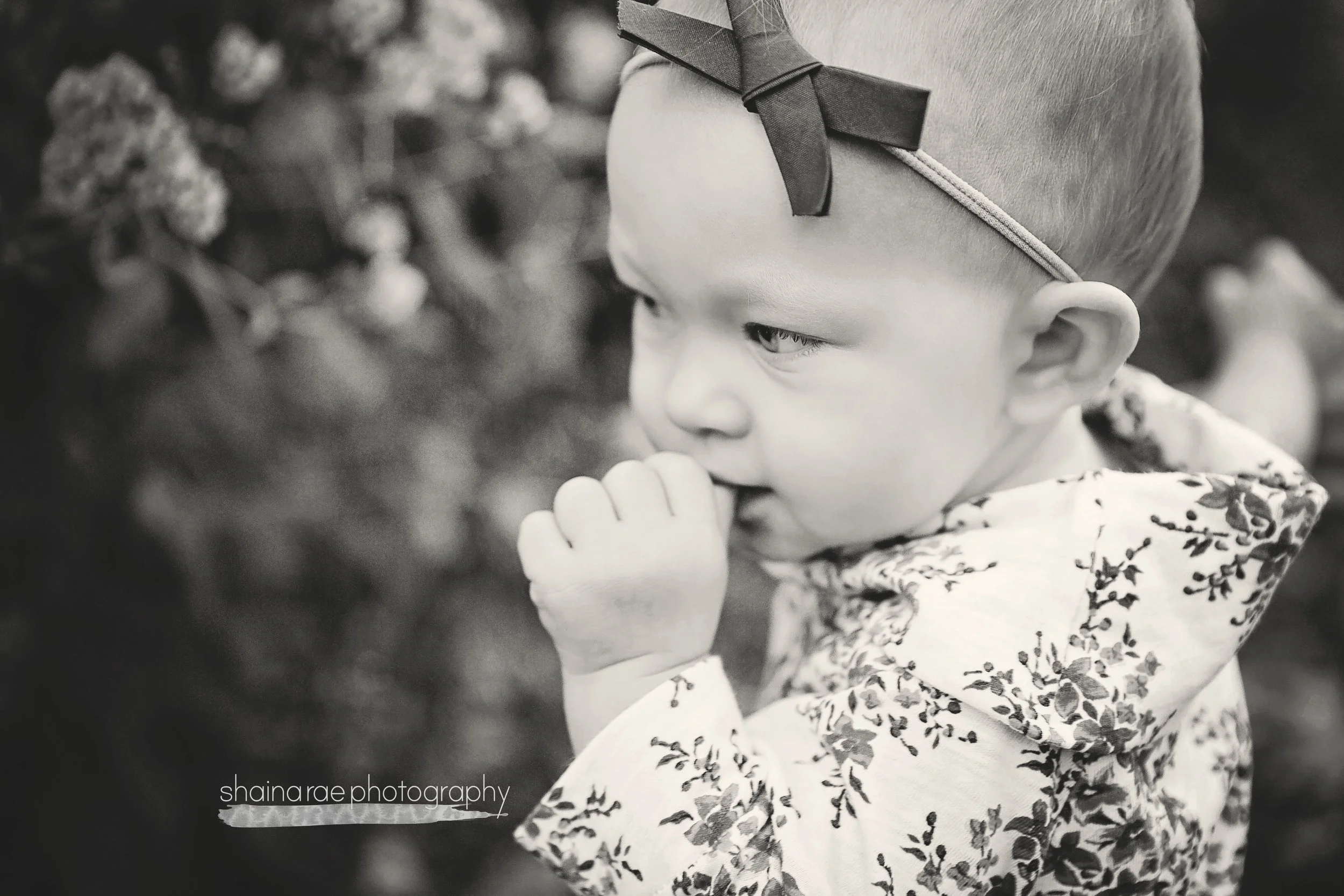 Carter1_0229x.jpg