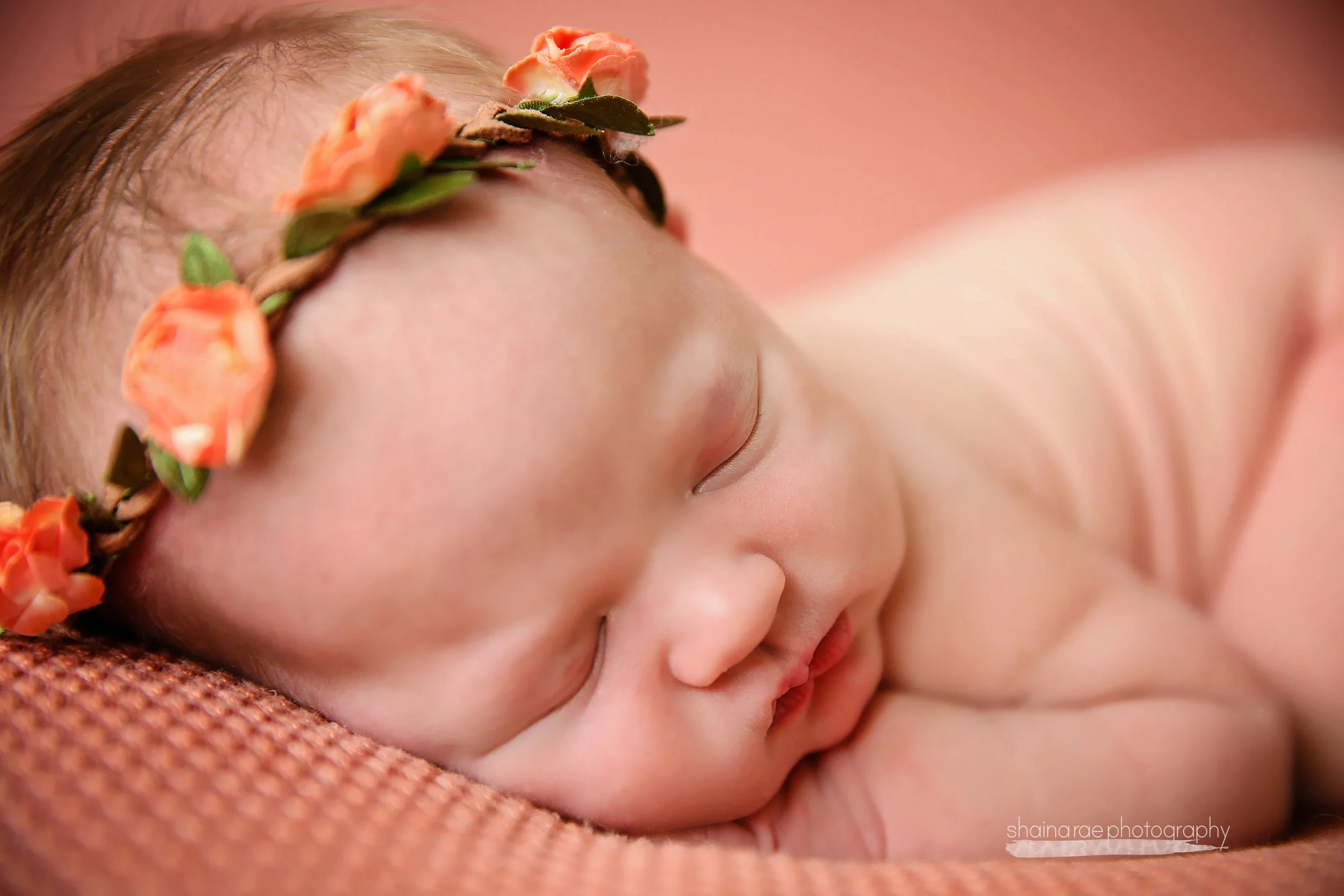 Brinley0037.jpg