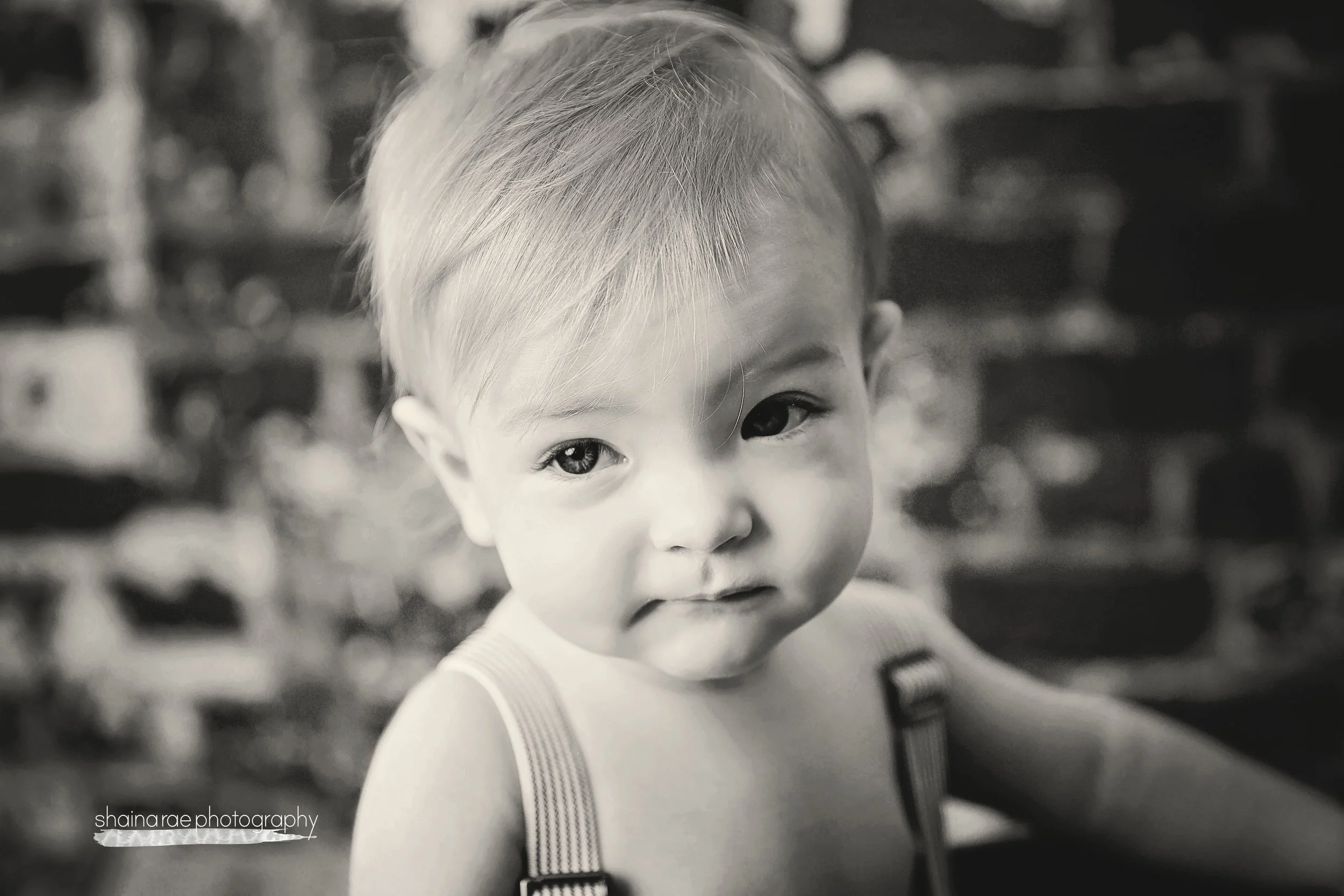 Owen1_0111x.jpg