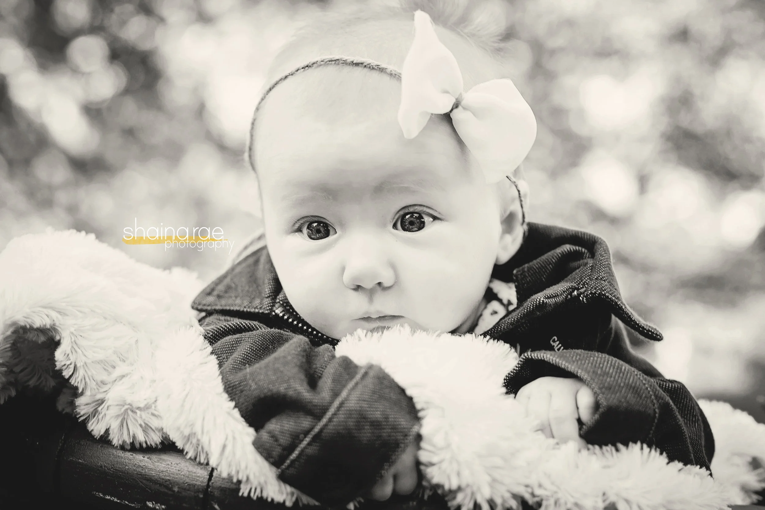 Cora0034x.jpg