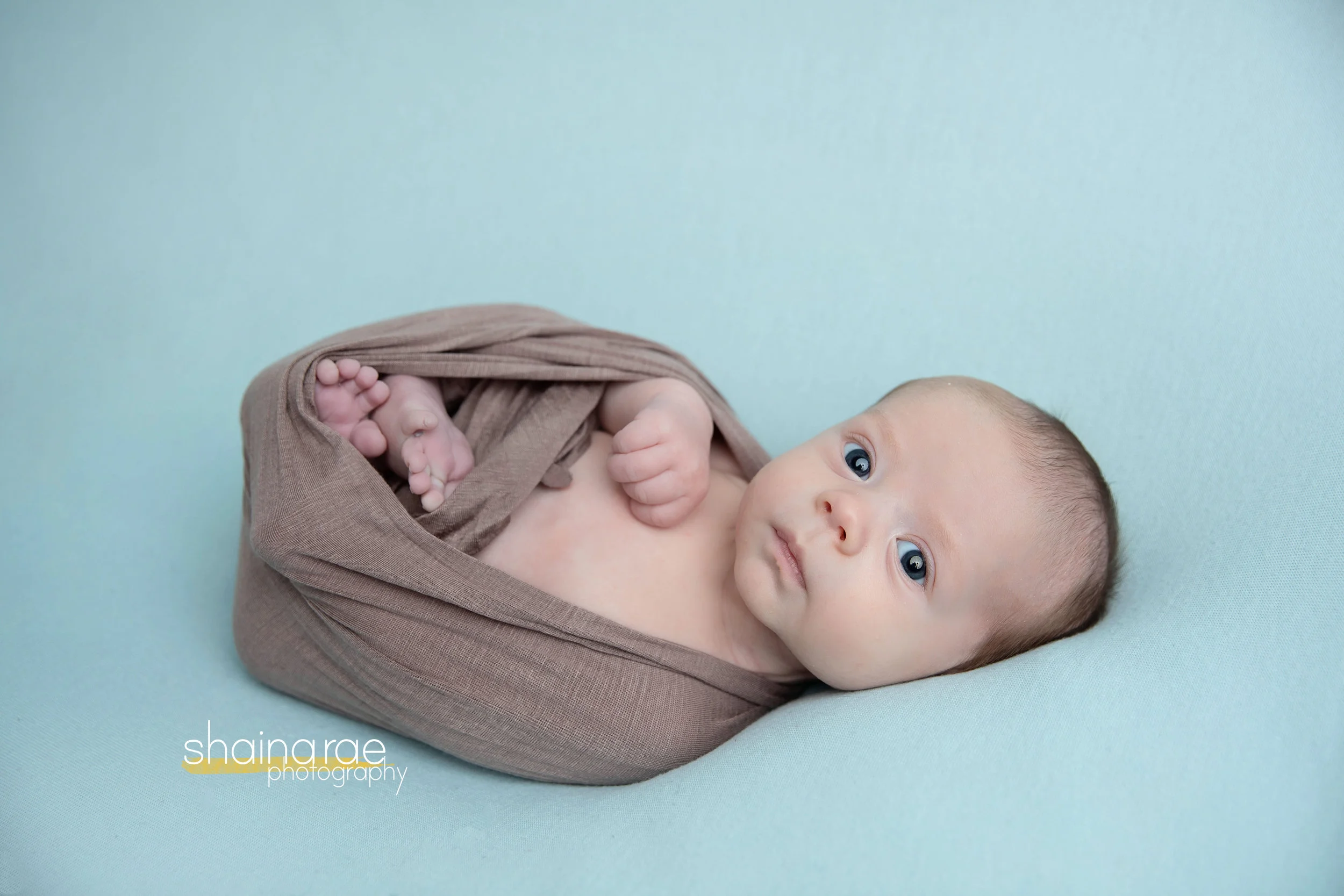 William0057.jpg