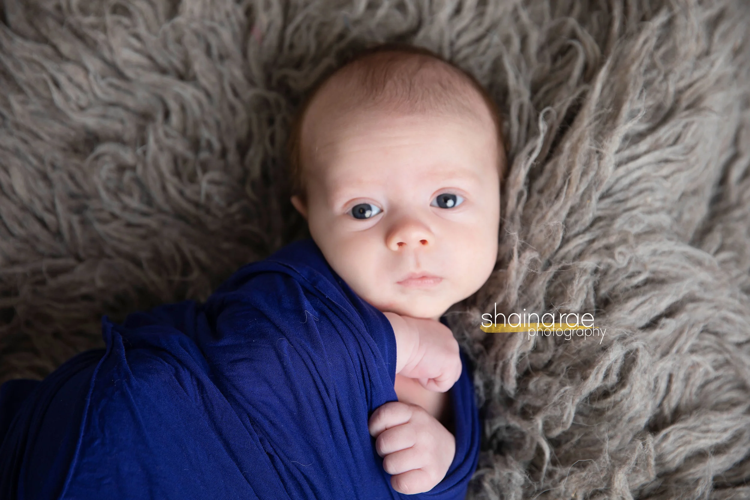 William0026.jpg