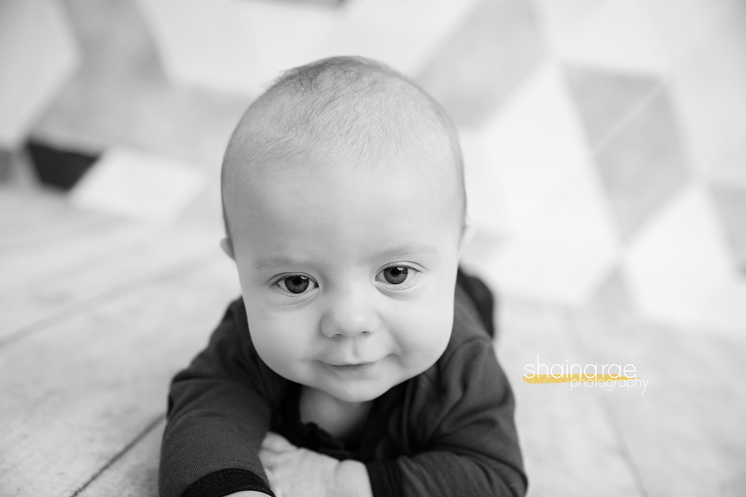 William4_0049.jpg