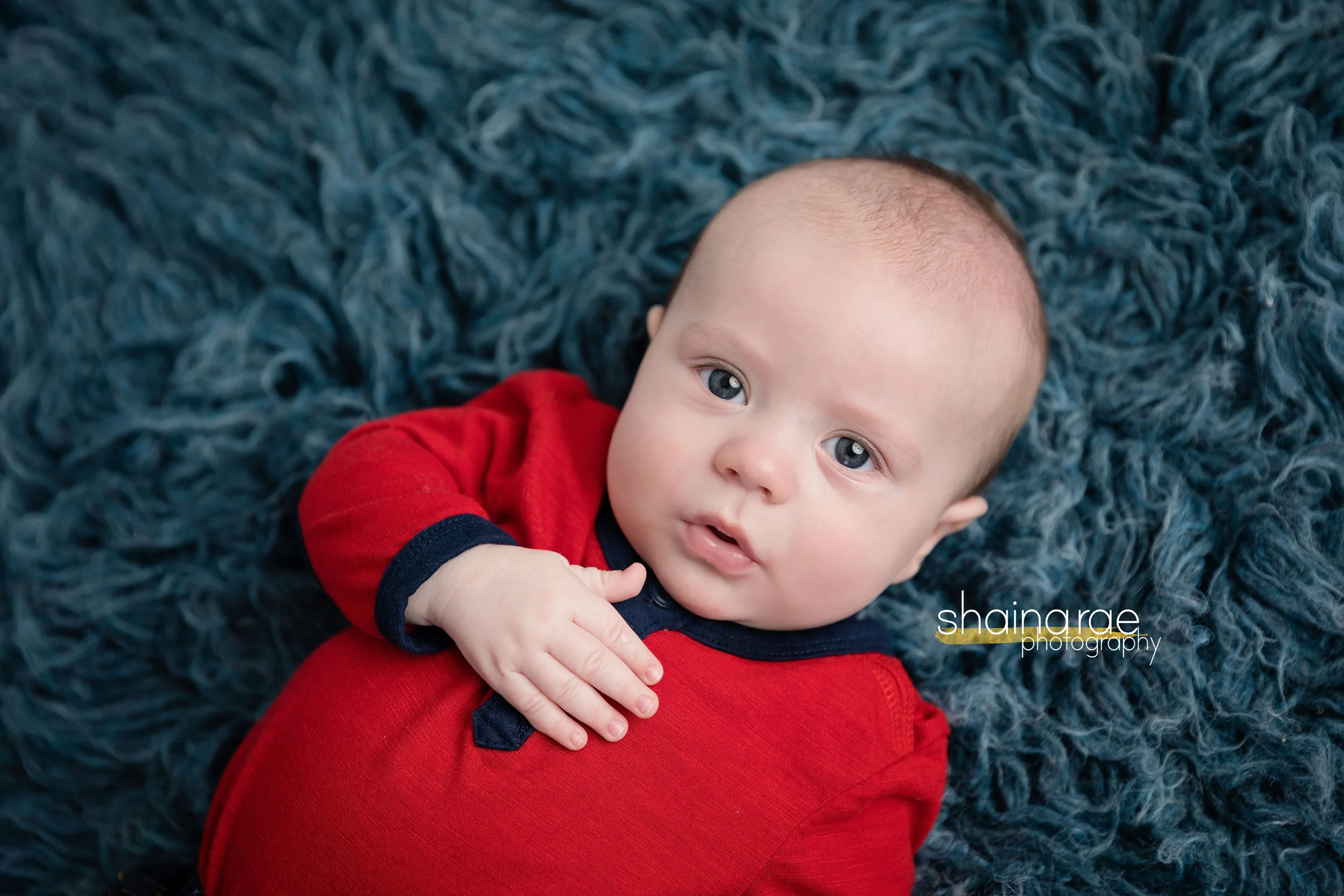 William4_0050.jpg