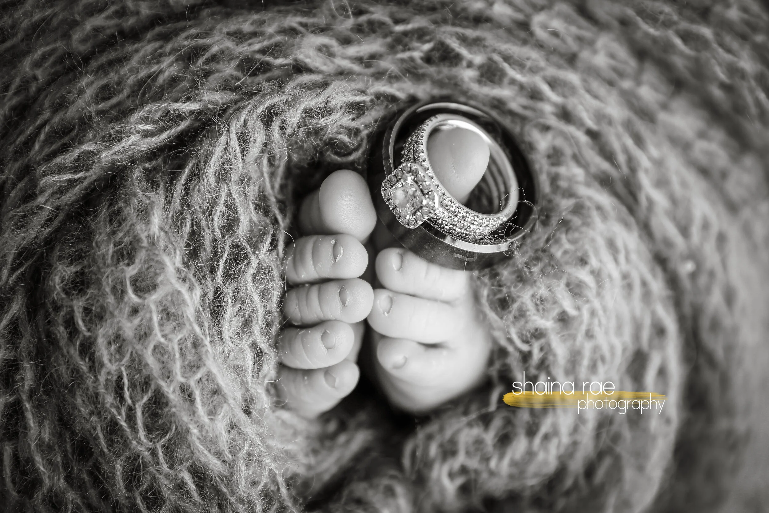 Kinsley-44.jpg