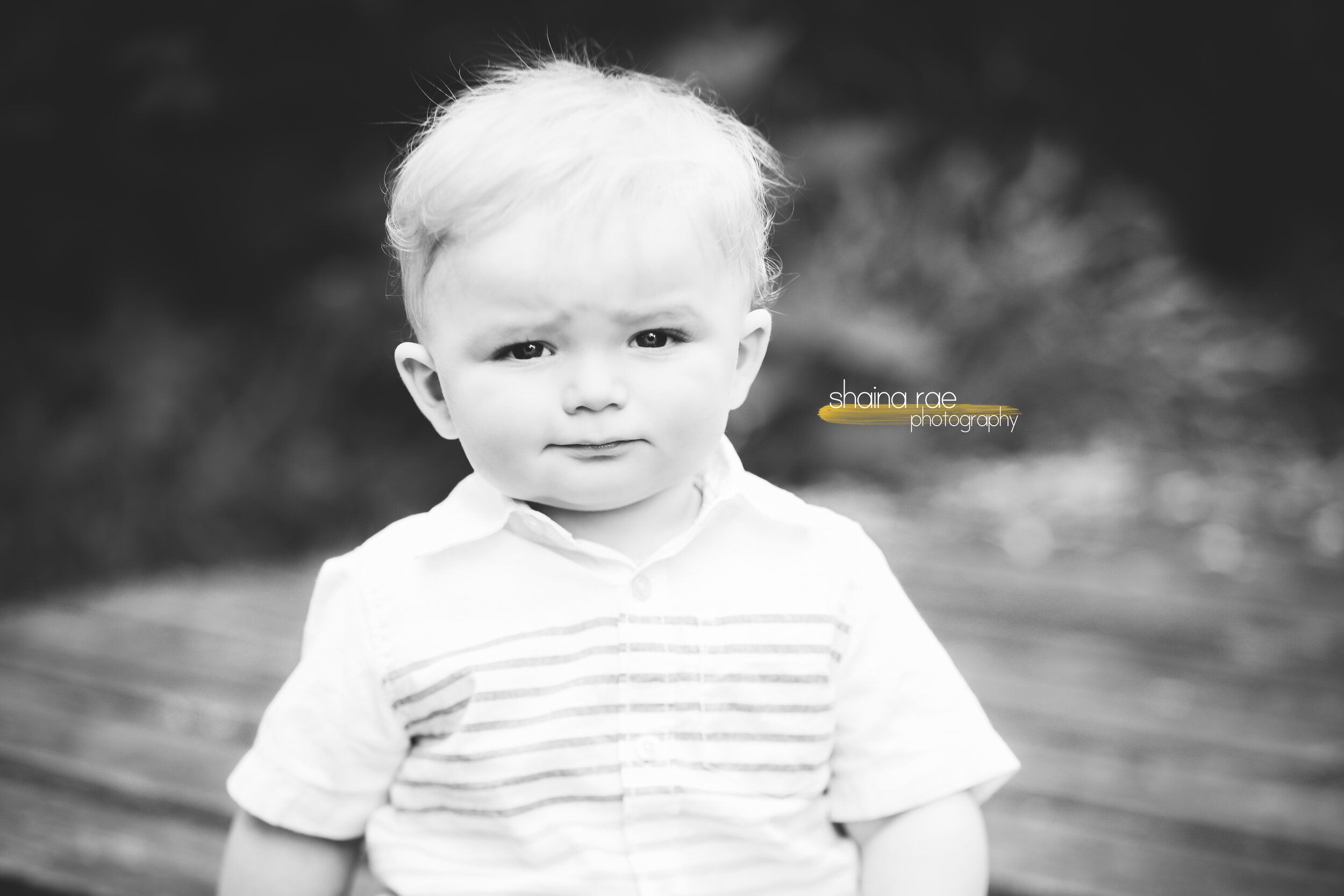 Kaden0019-2.jpg
