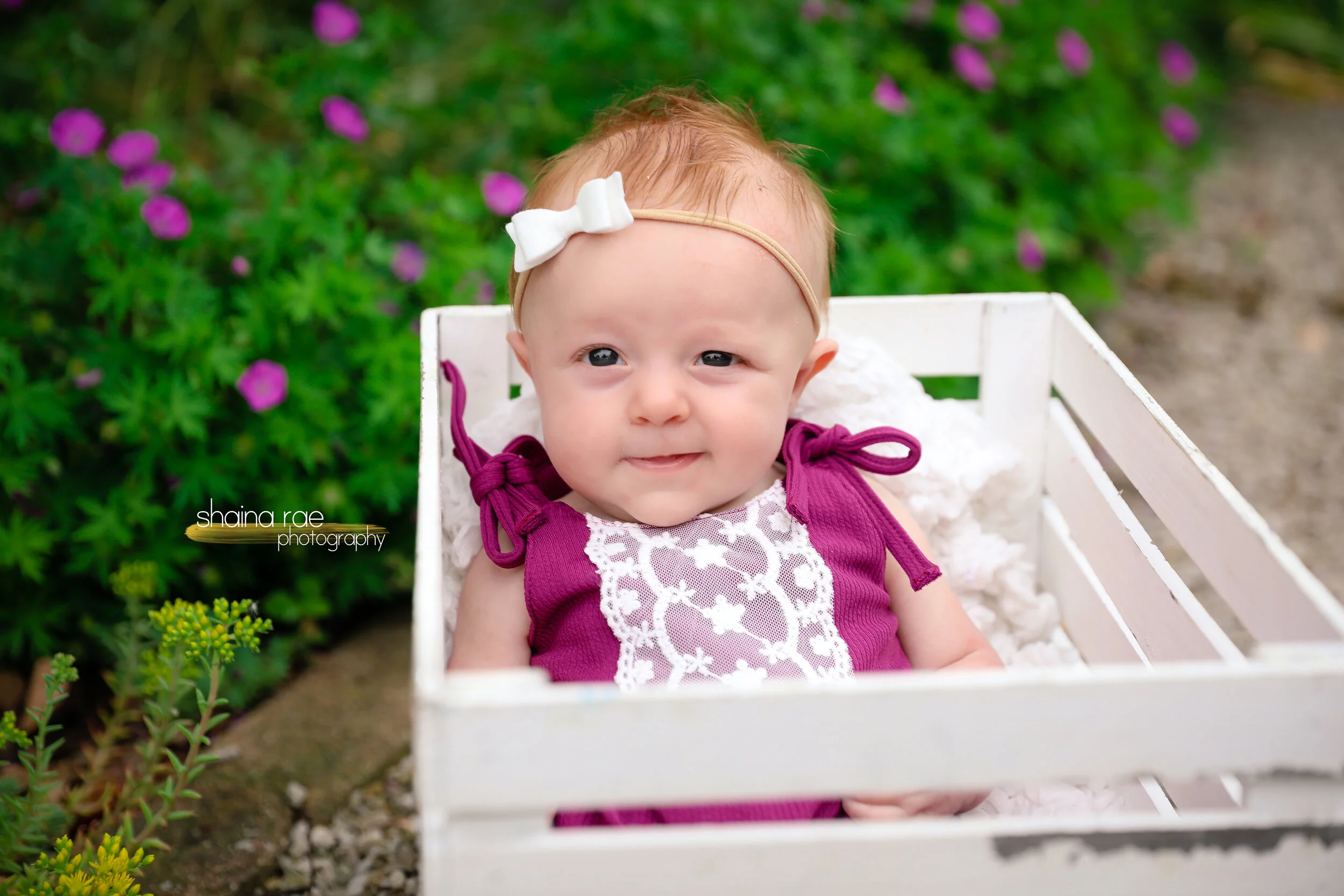 Kinsley0008.jpg