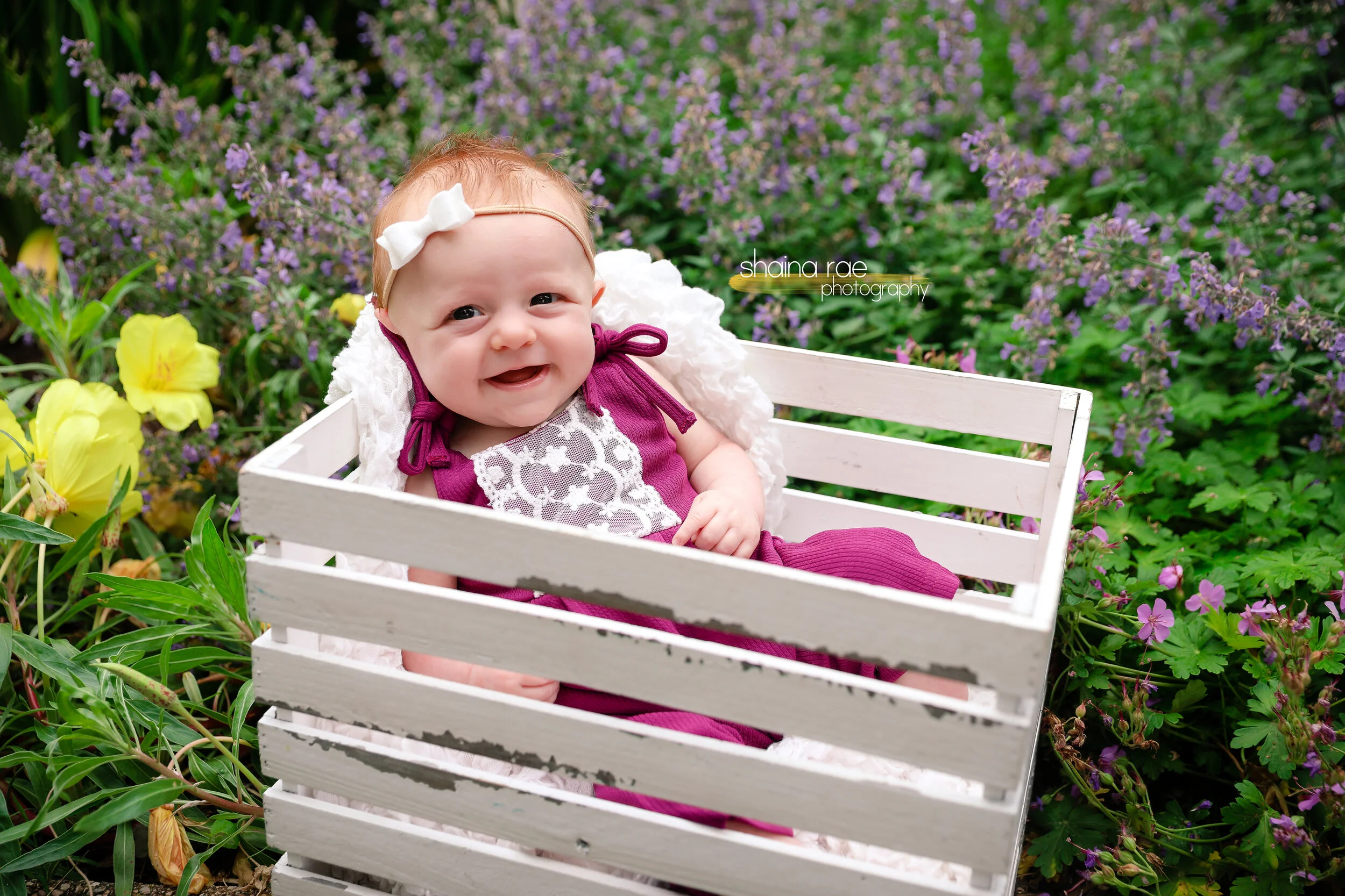 Kinsley0012.jpg