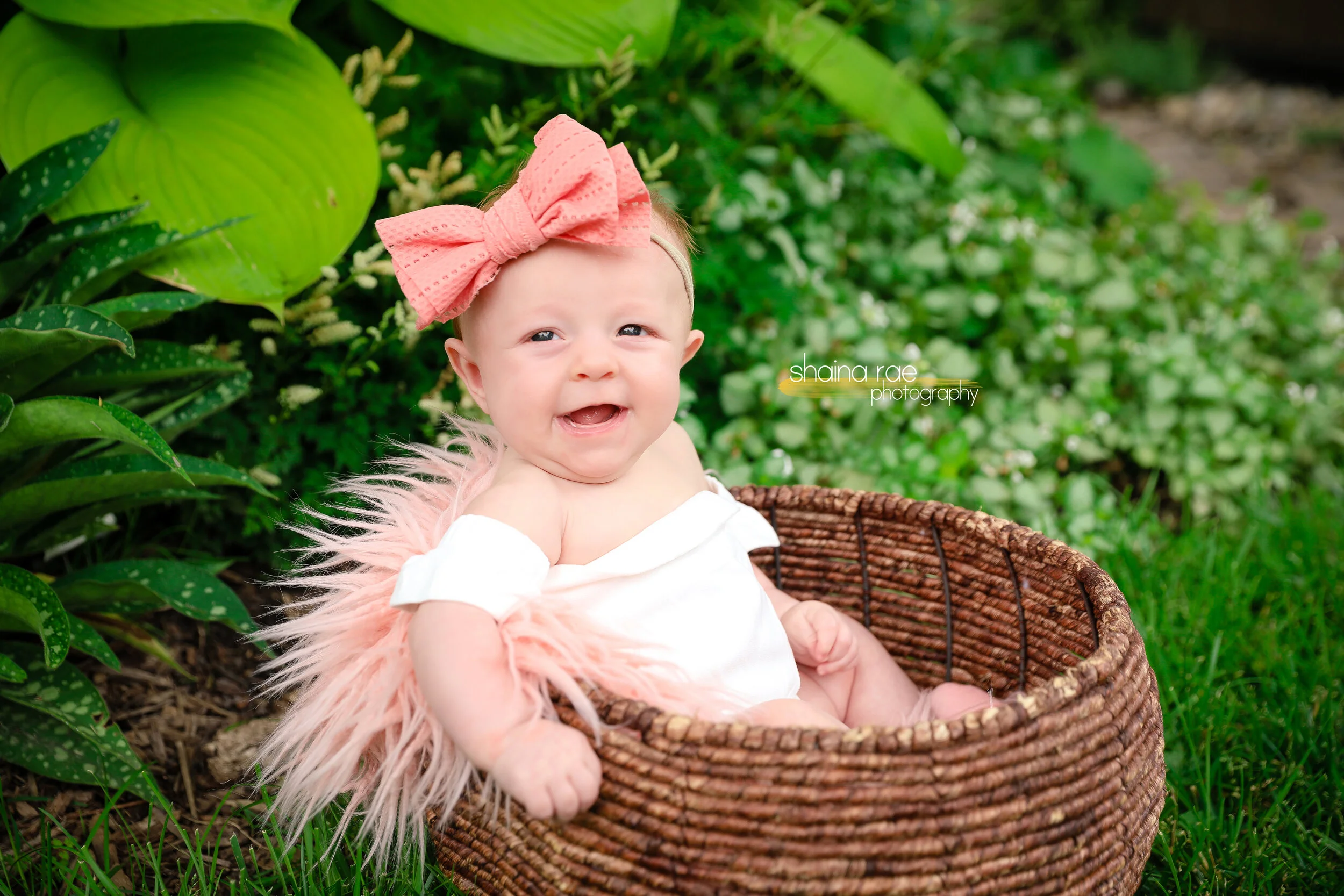 Kinsley0037.jpg