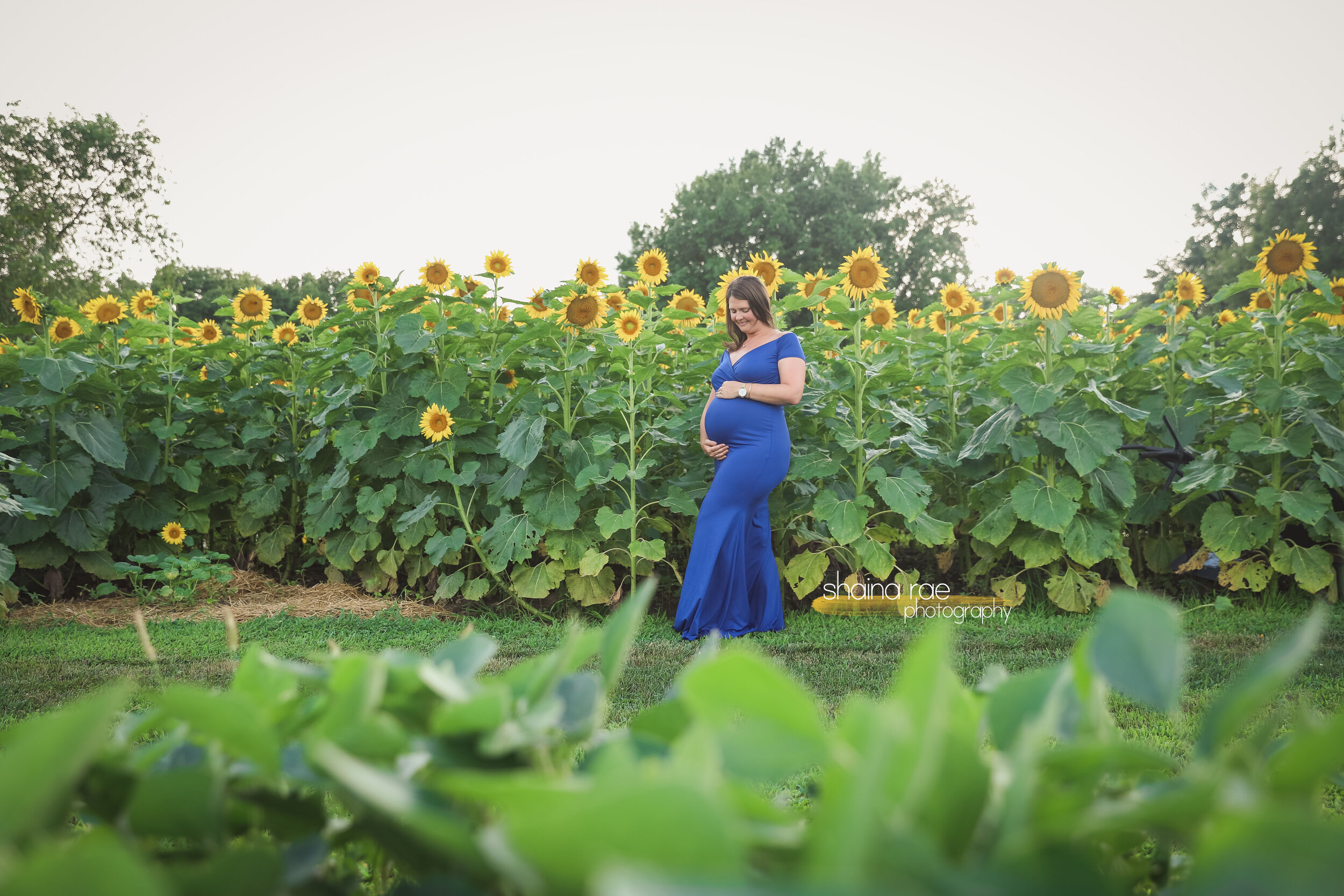 Kelly_Maternity0063.jpg