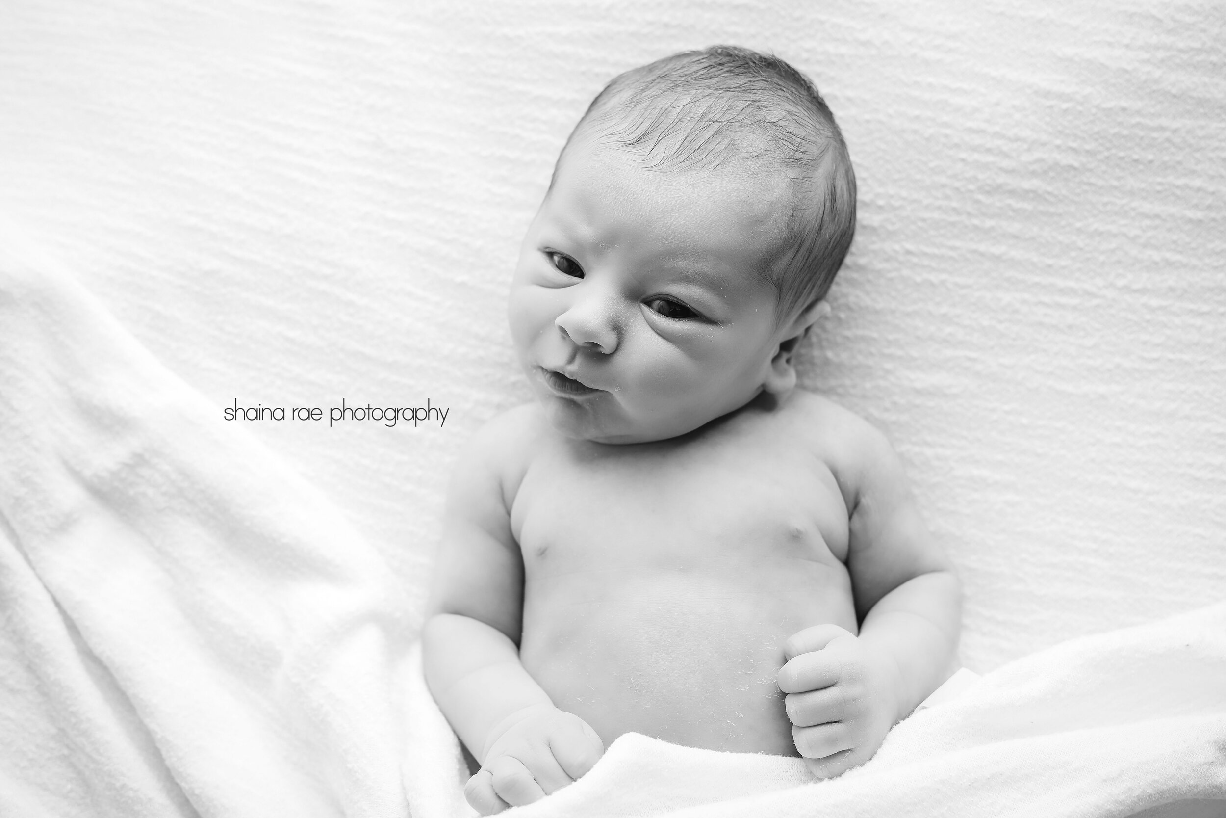 Aiden0087.jpg