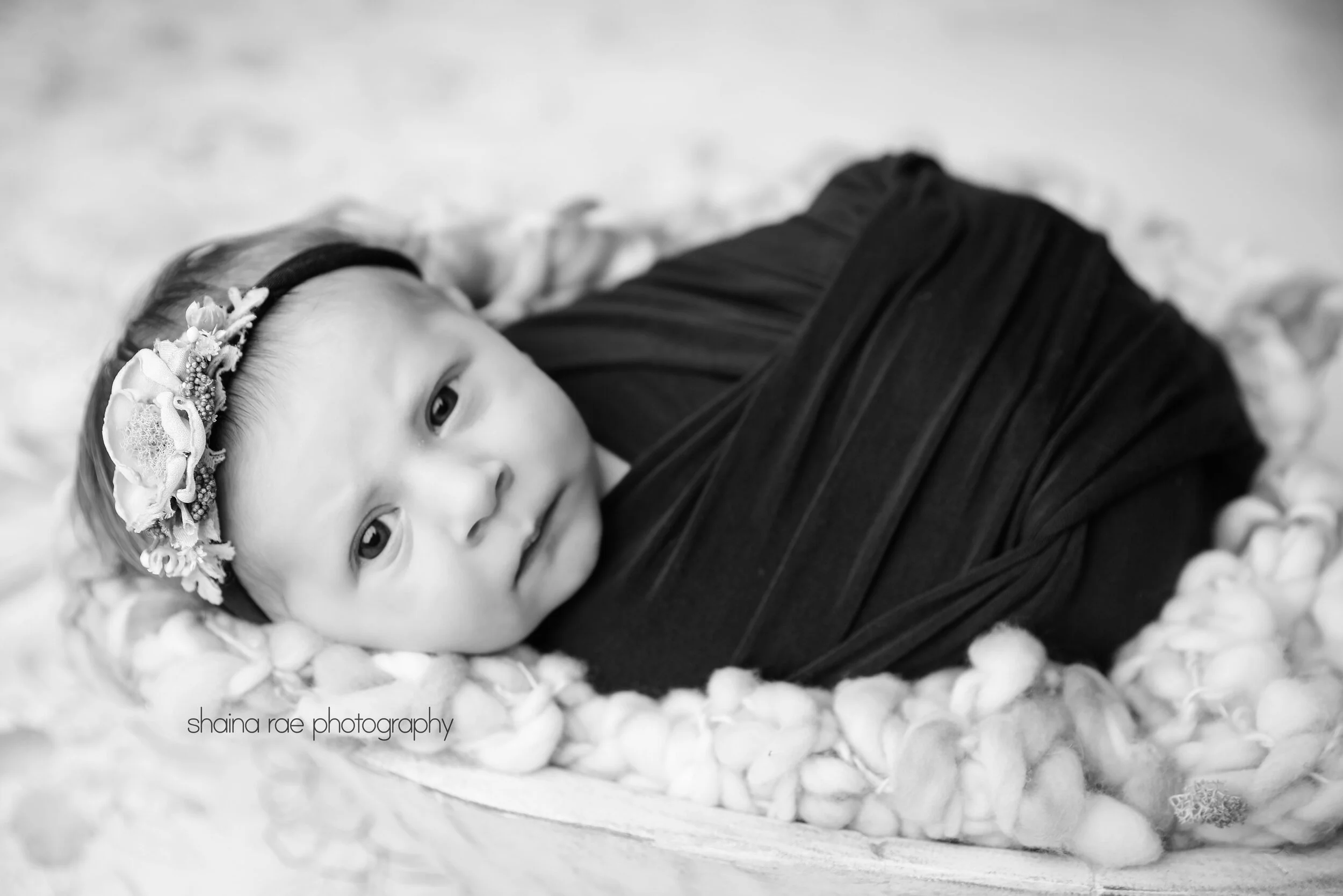 Harper_0010.jpg