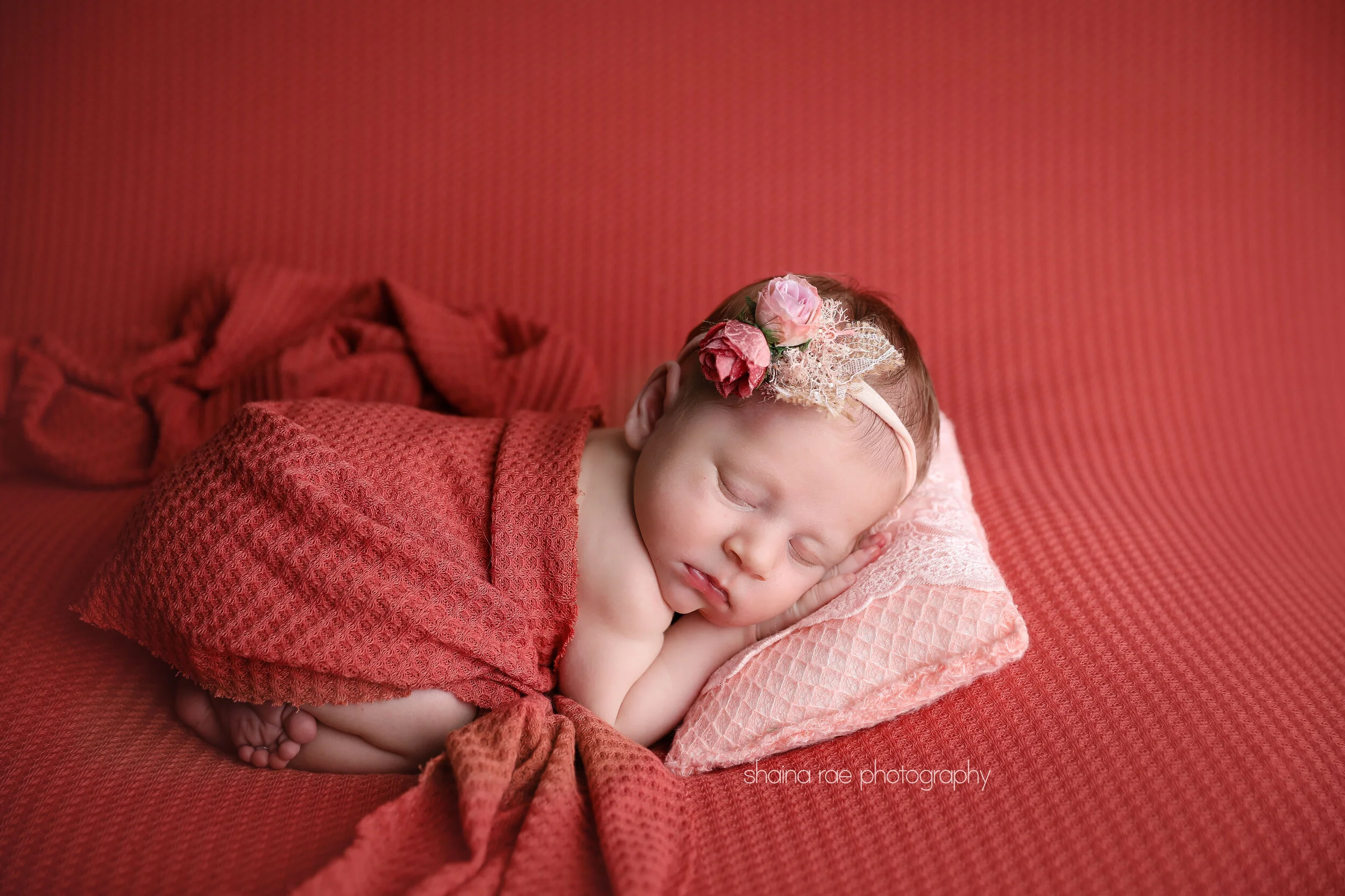 Harper_0017.jpg