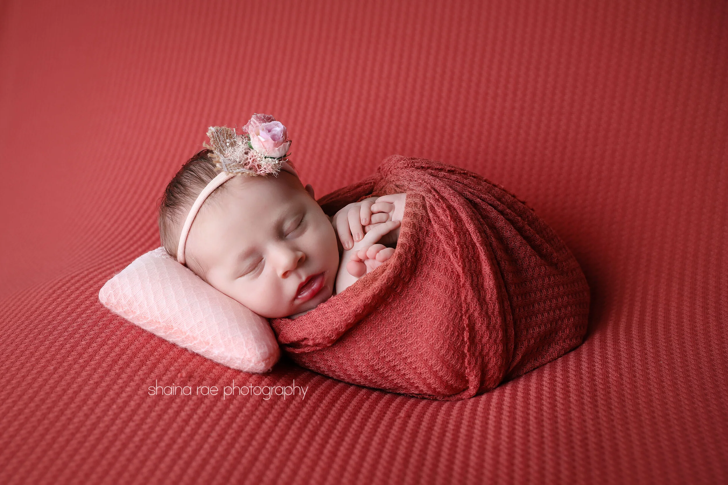 Harper_0022.jpg