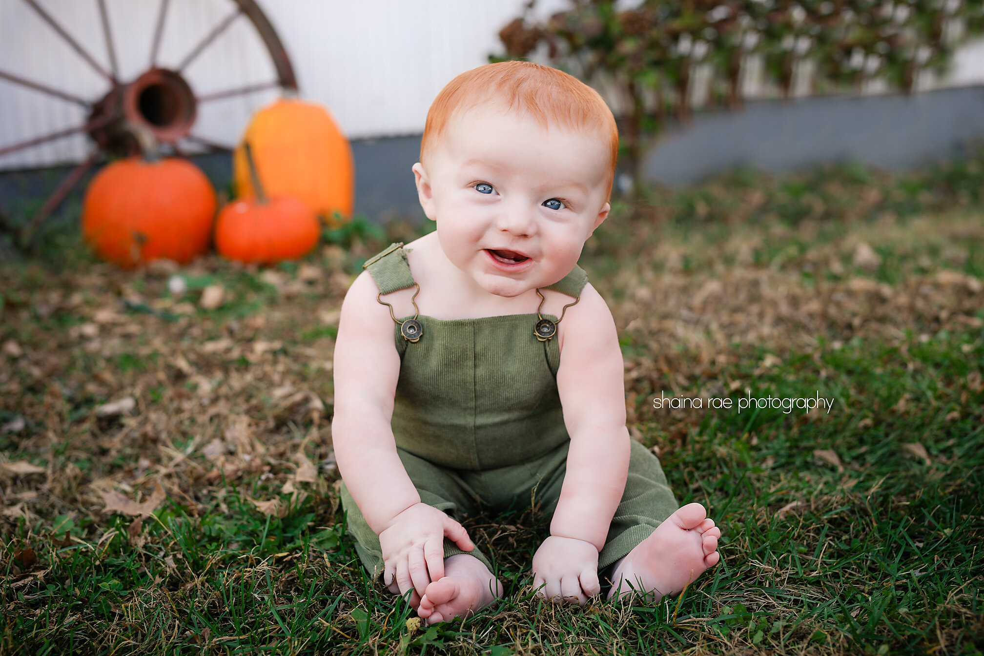Weston6Months0038.jpg