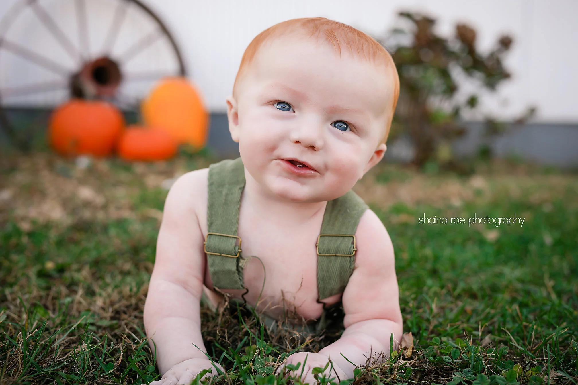 Weston6Months0046.jpg