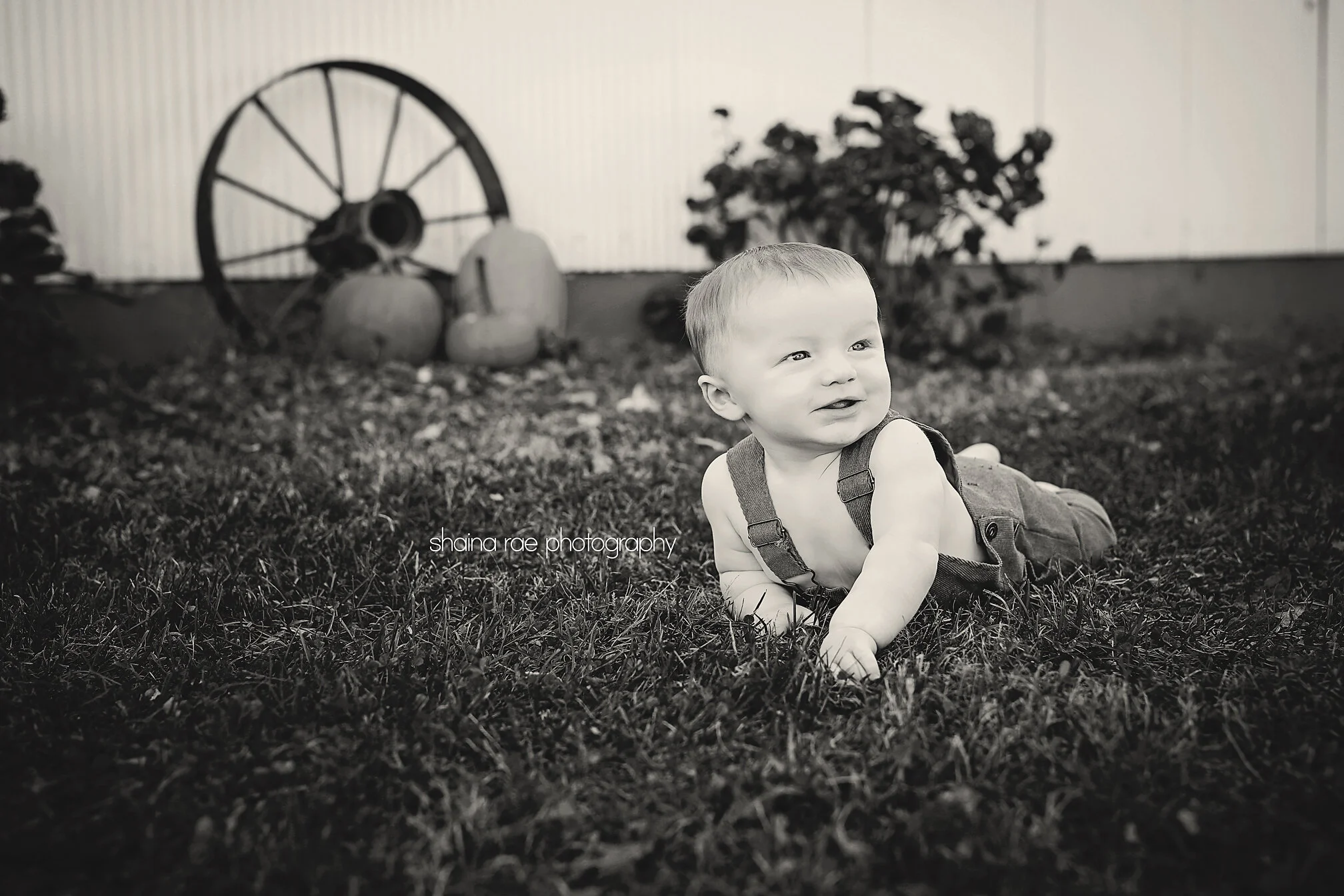 Weston6Months0057.jpg